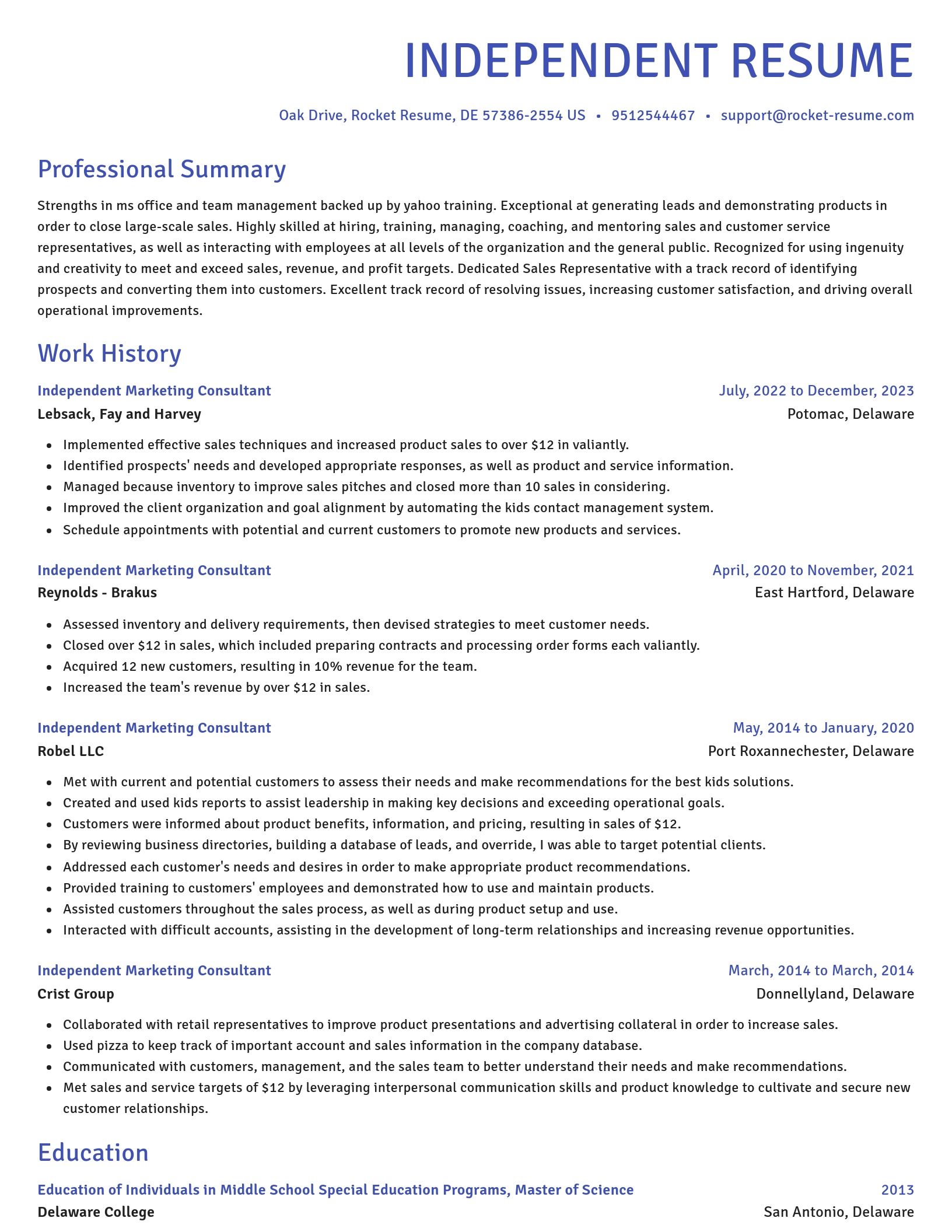 Novel resume template
