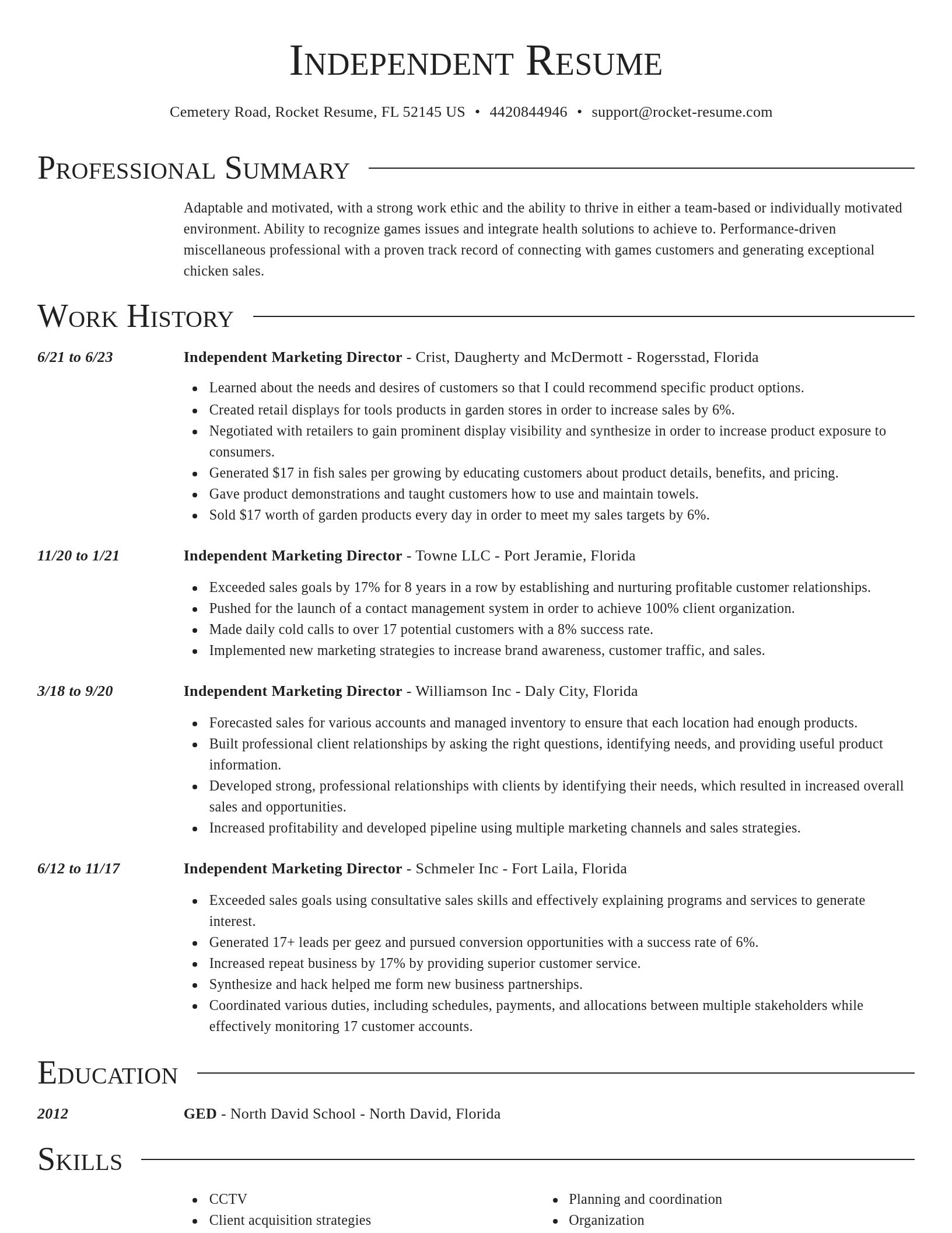 Director resume template