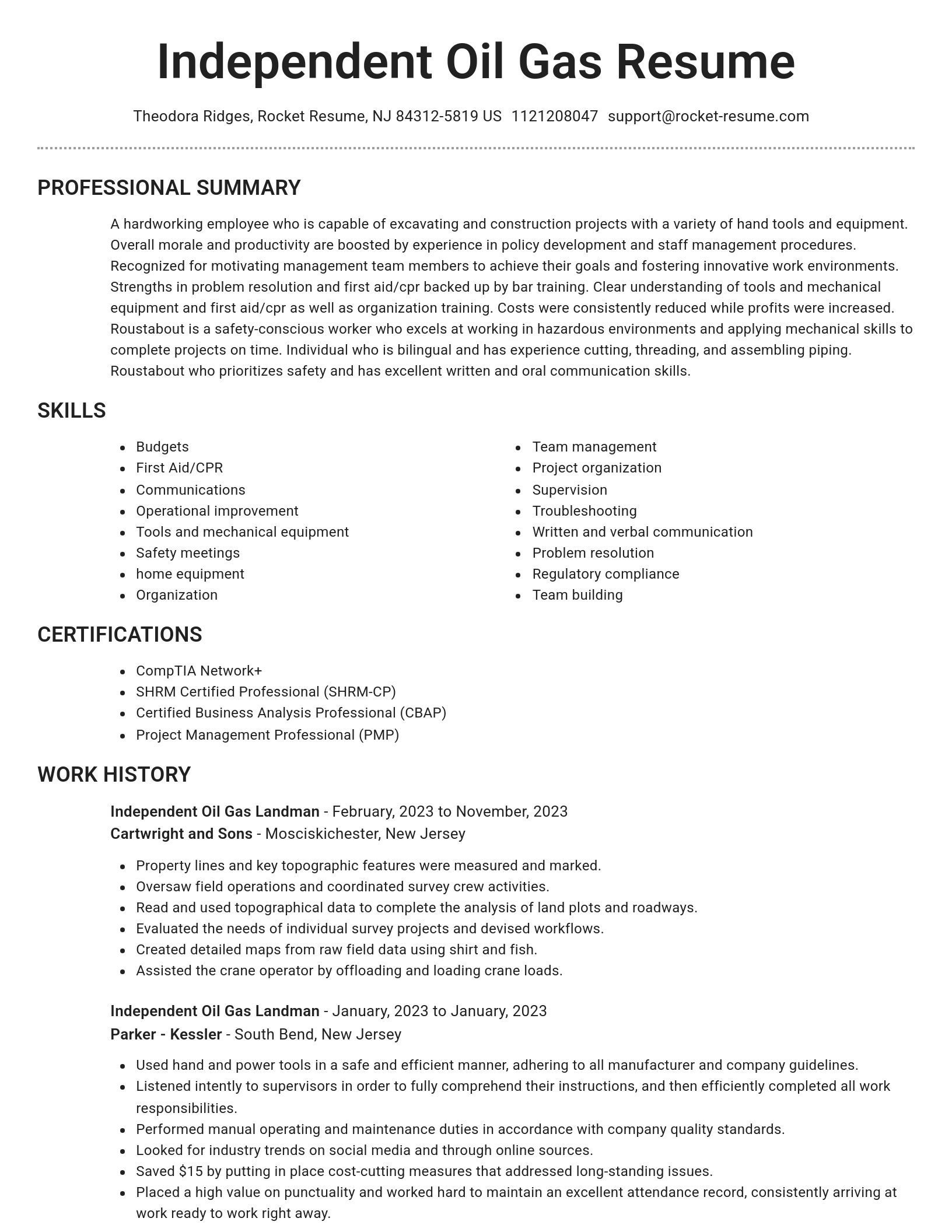 Brilliant resume template