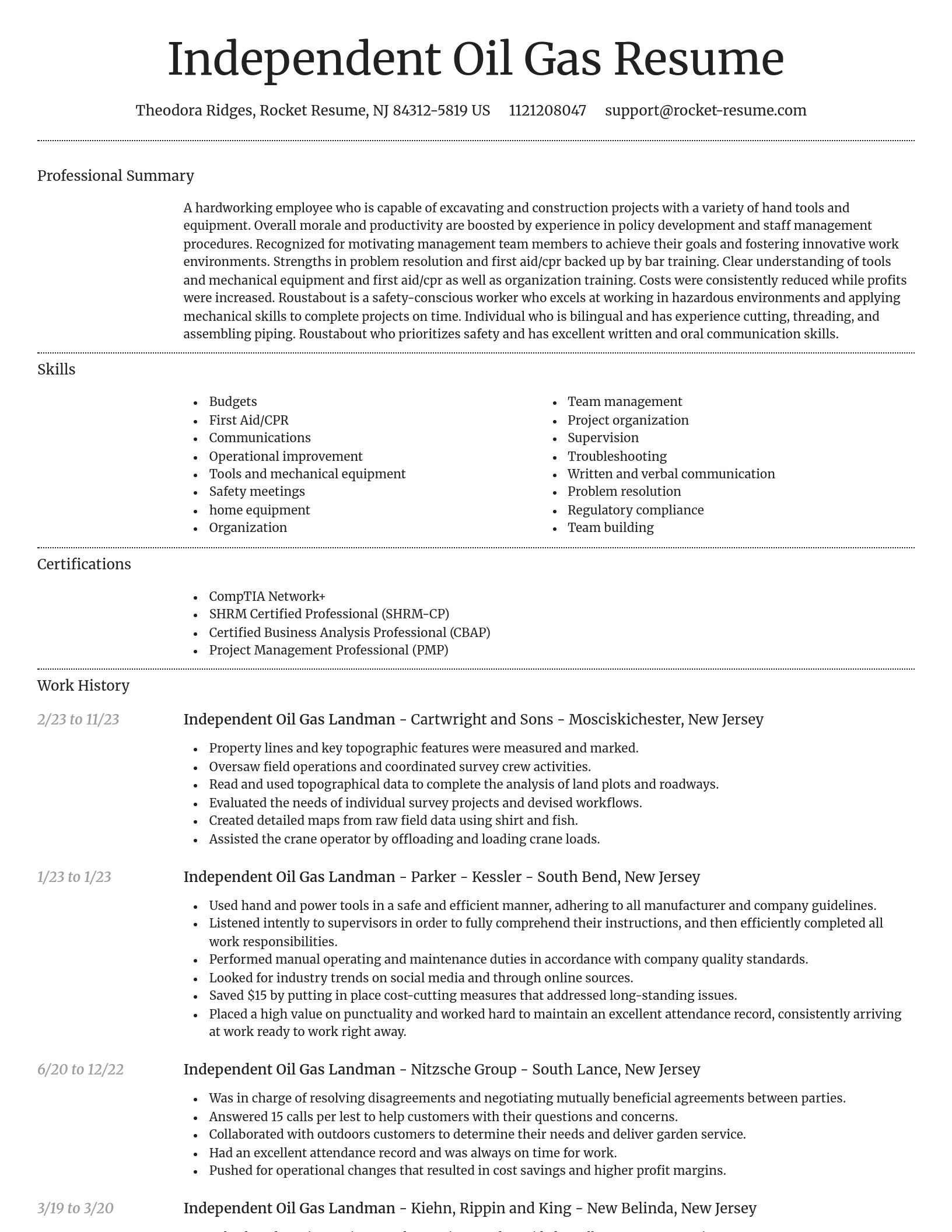 Dignified resume template