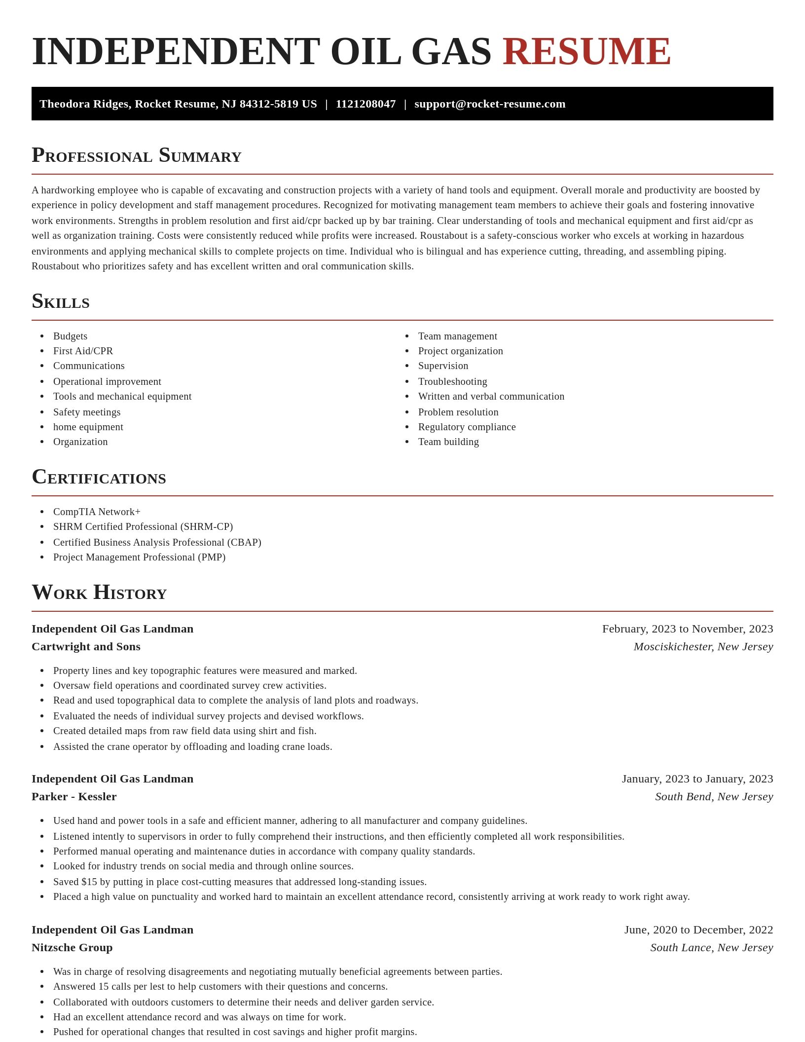 Exquisite resume template