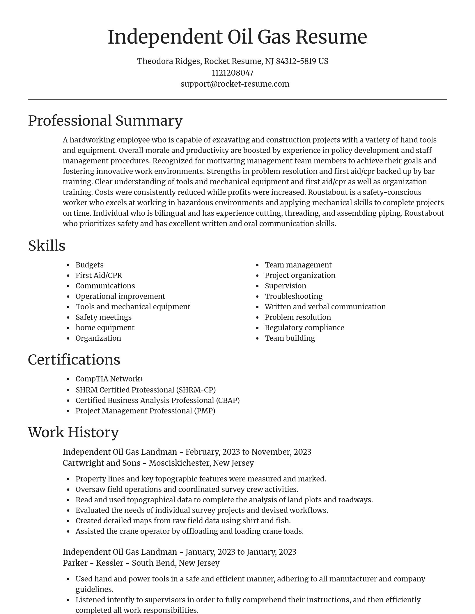 Focal Point resume template
