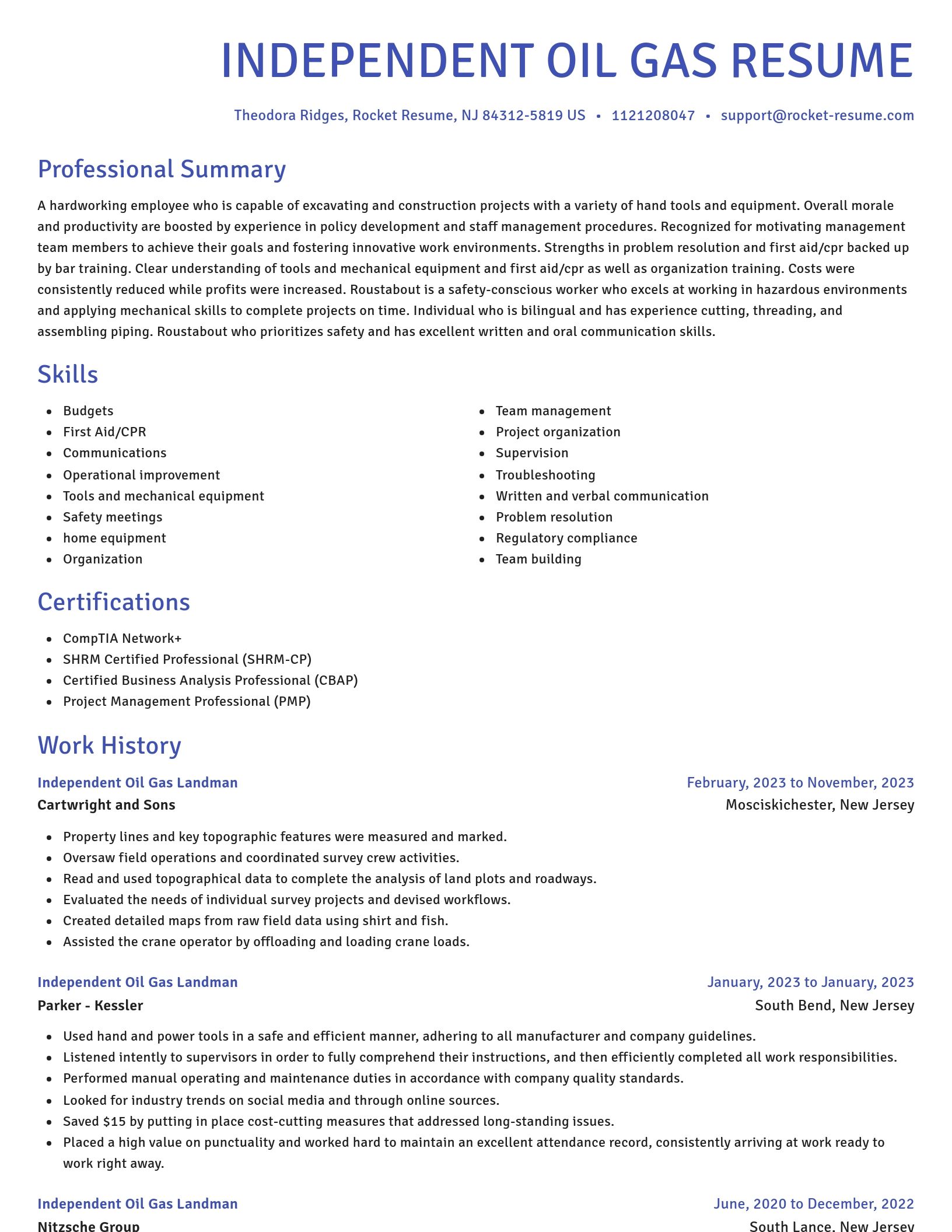 Novel resume template