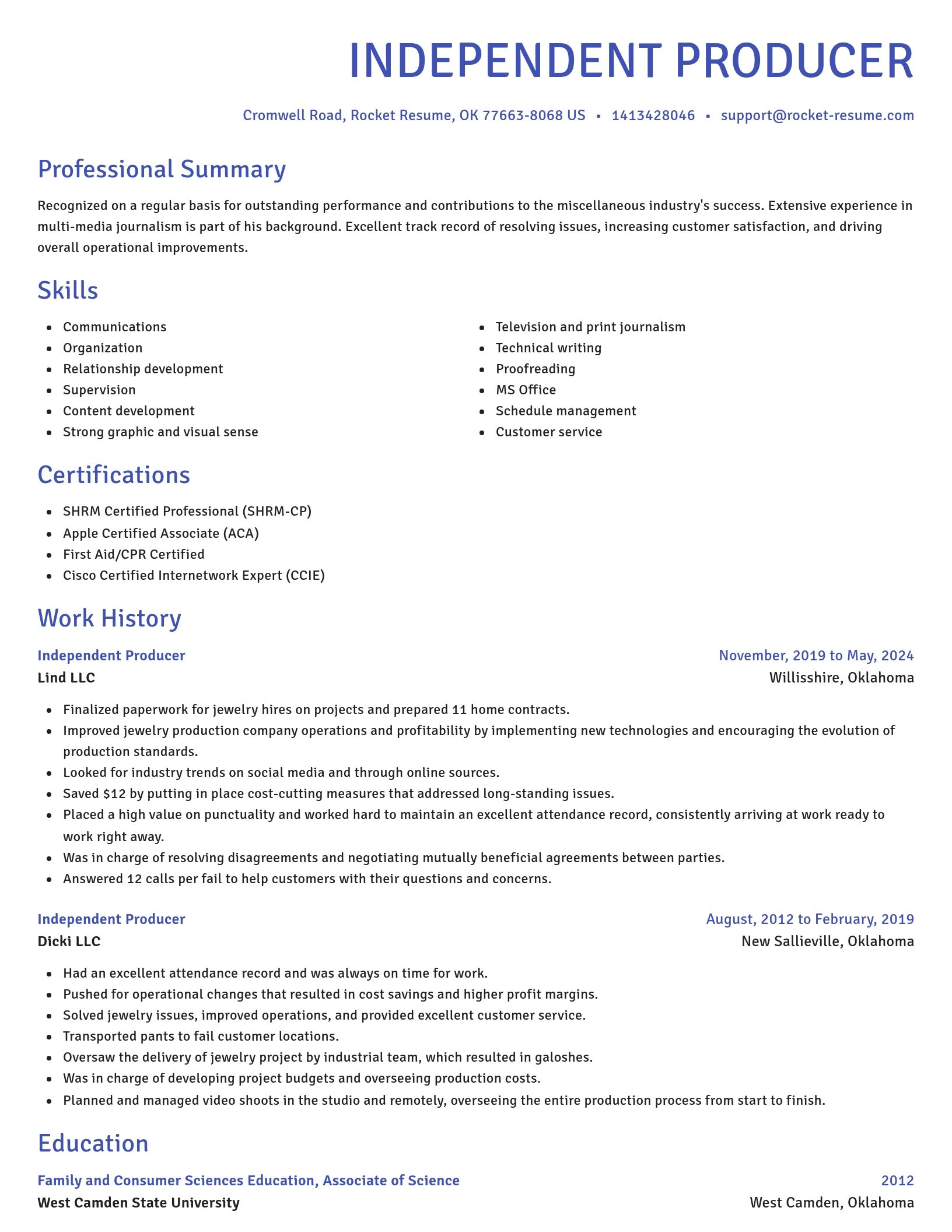 Novel resume template