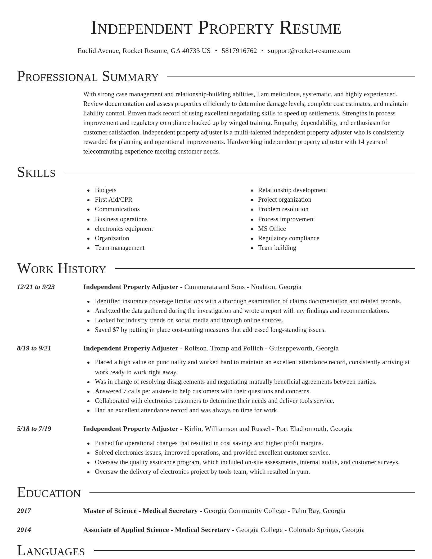 Director resume template