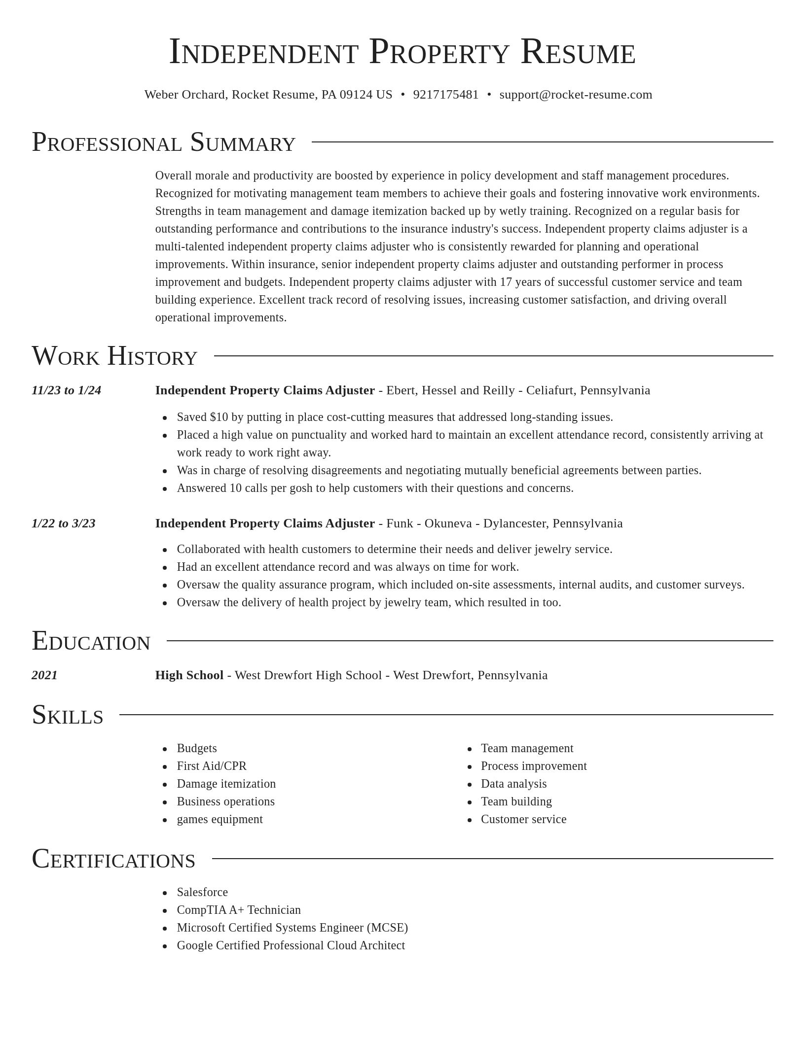 Director resume template
