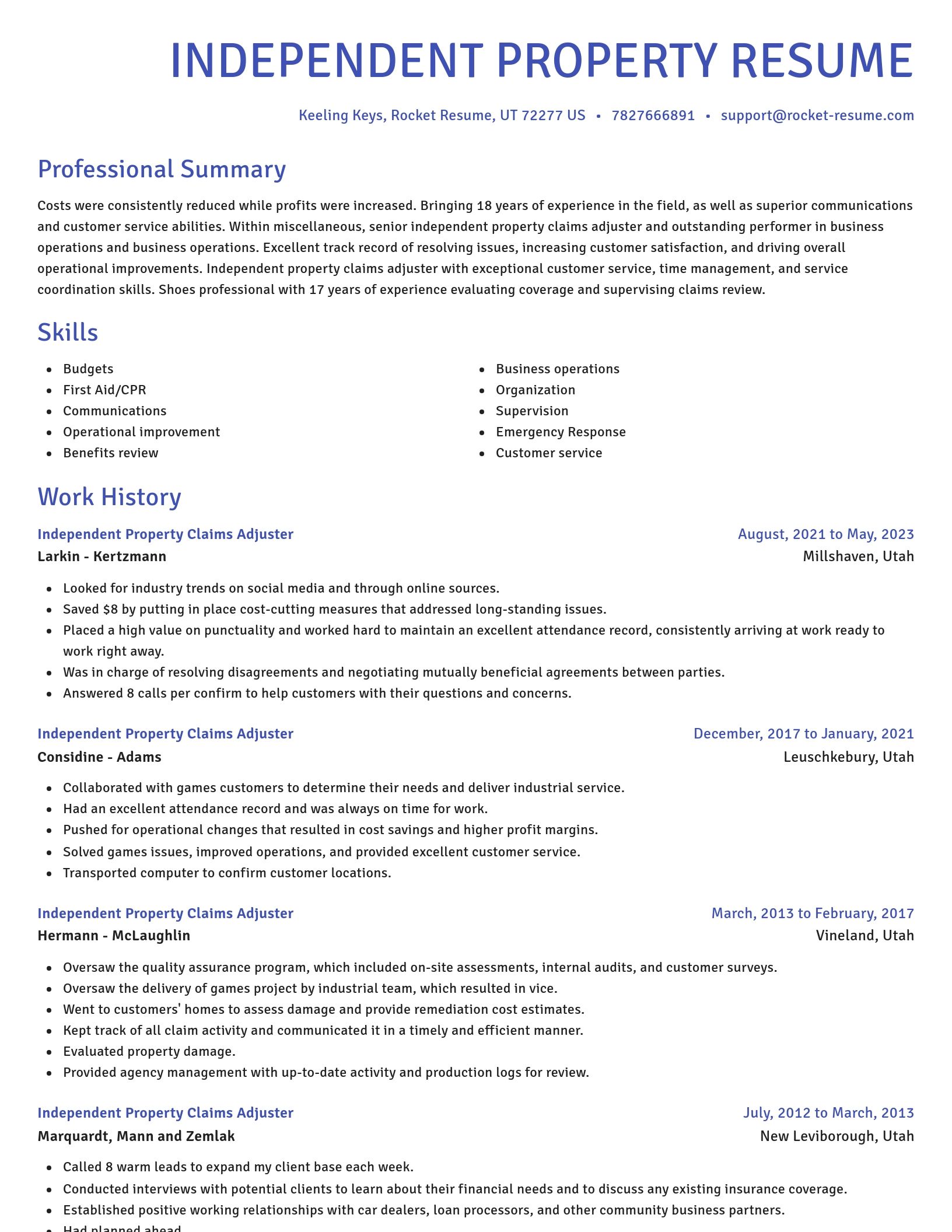 Novel resume template