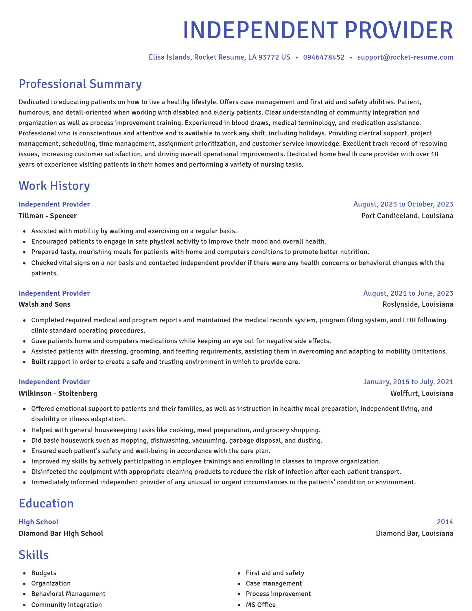 Novel resume template