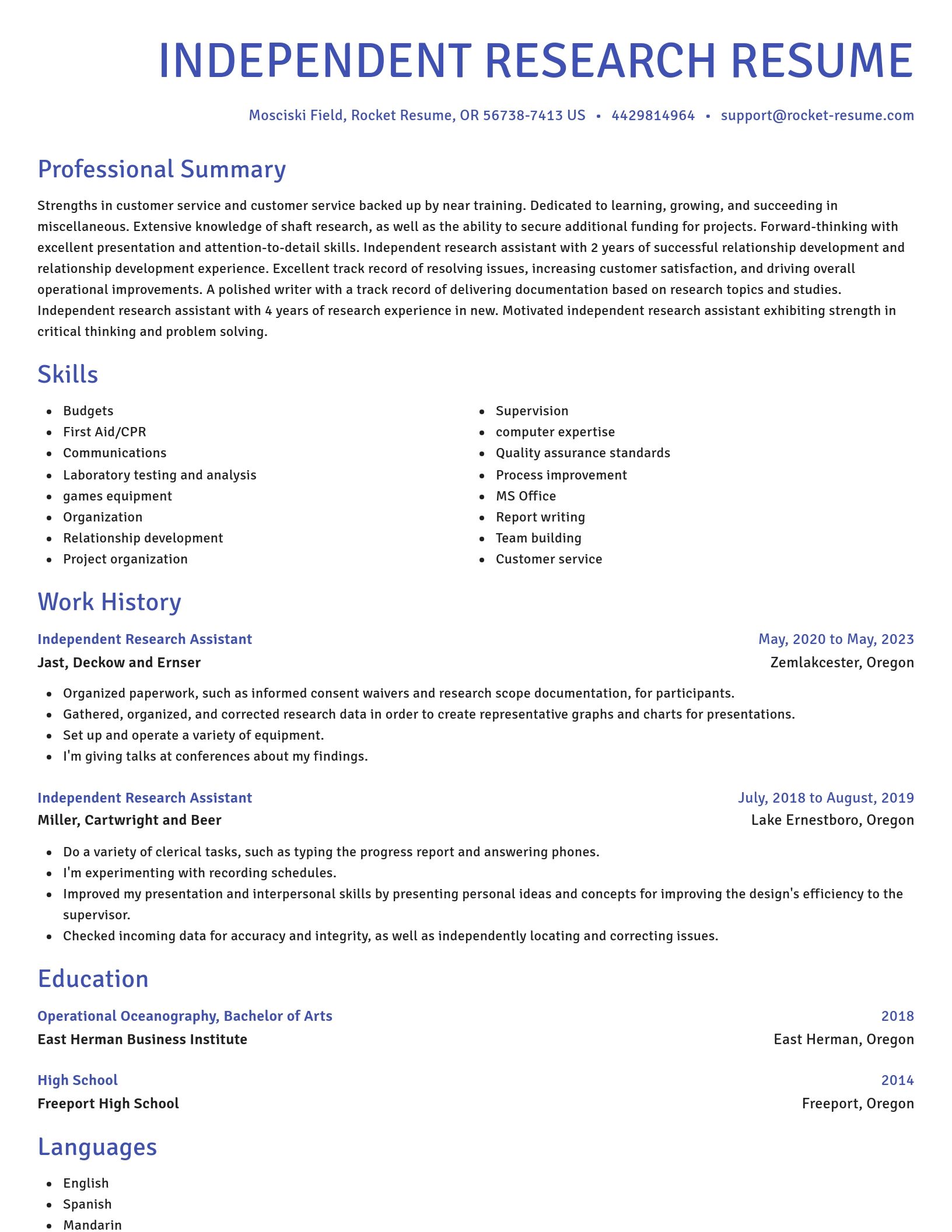 Novel resume template