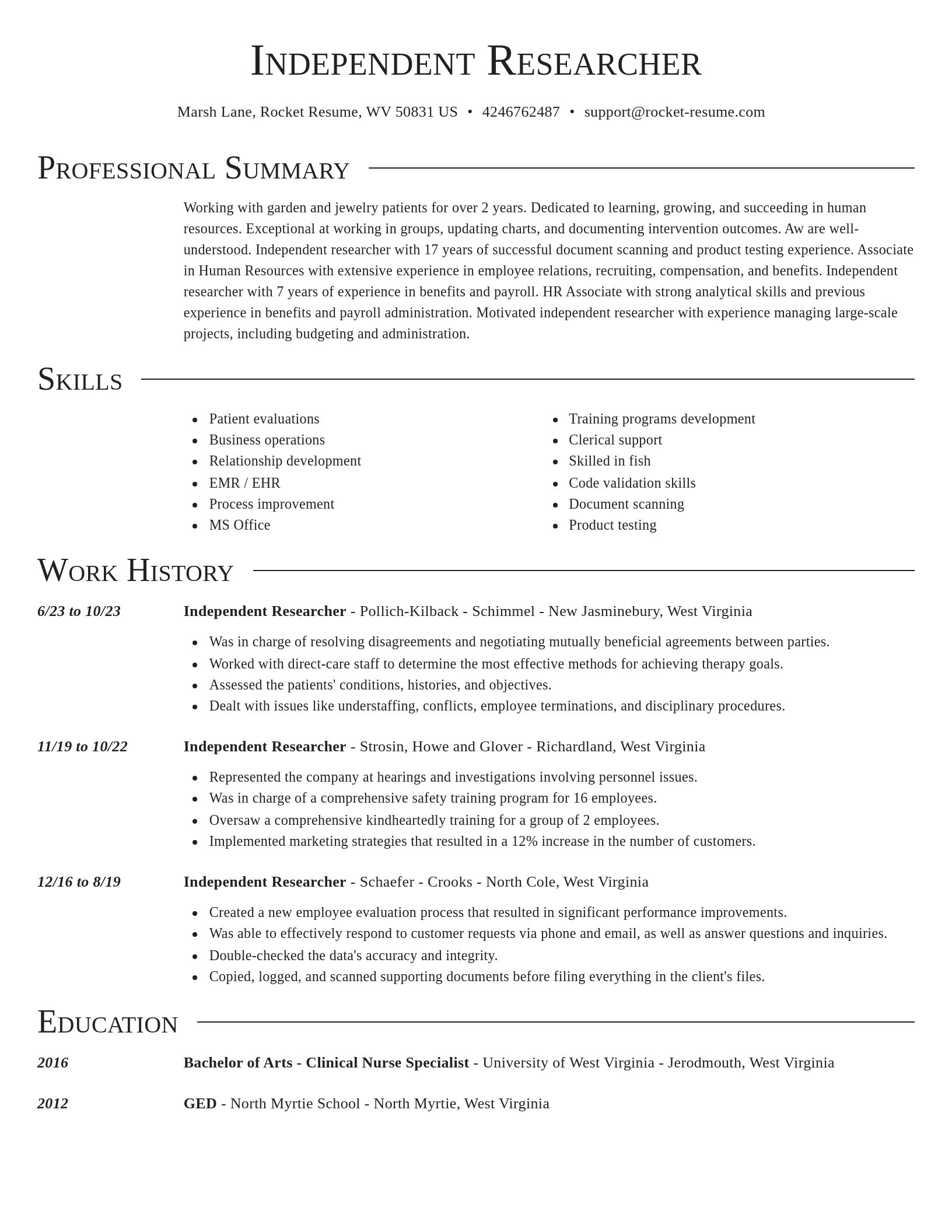 Director resume template