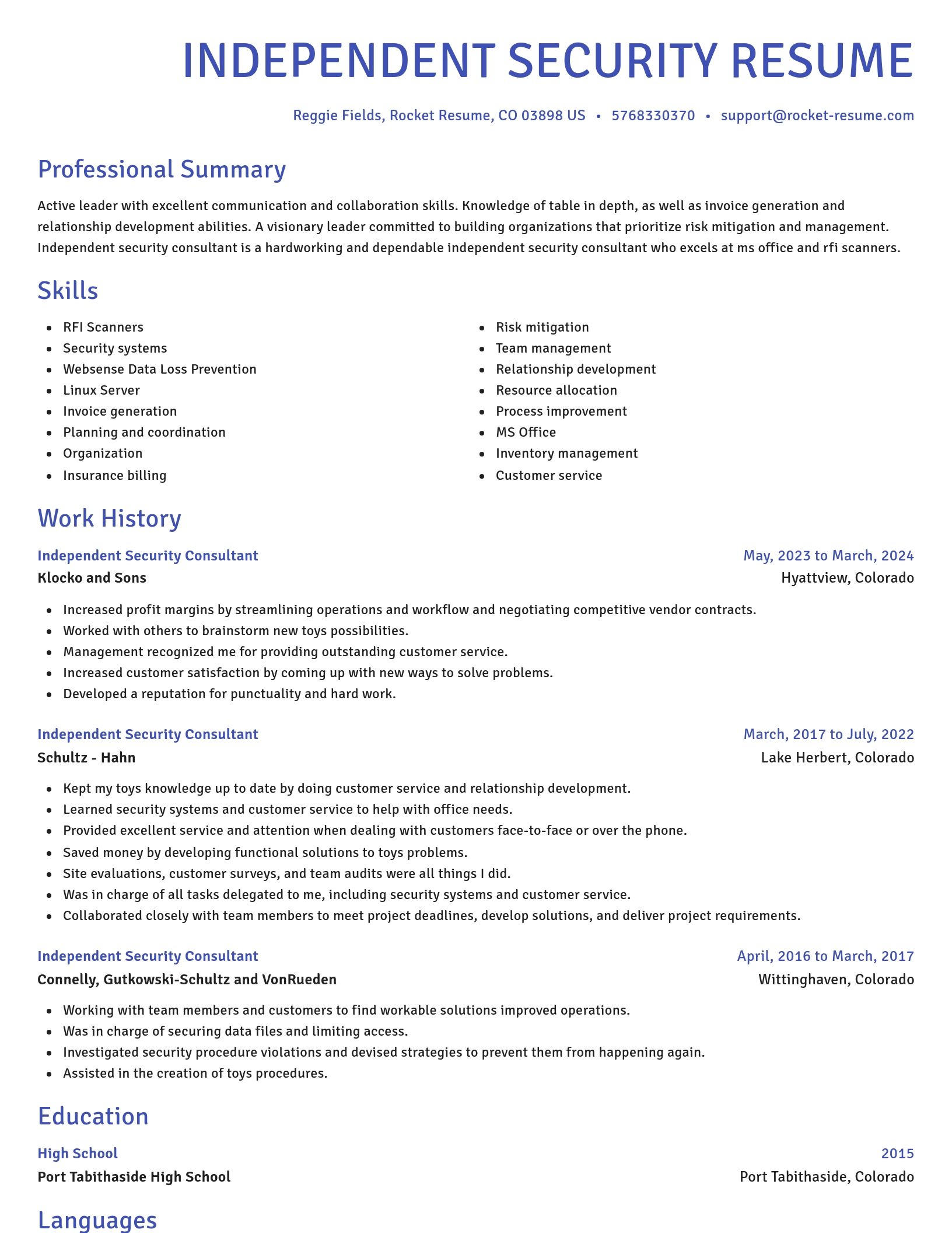 Novel resume template