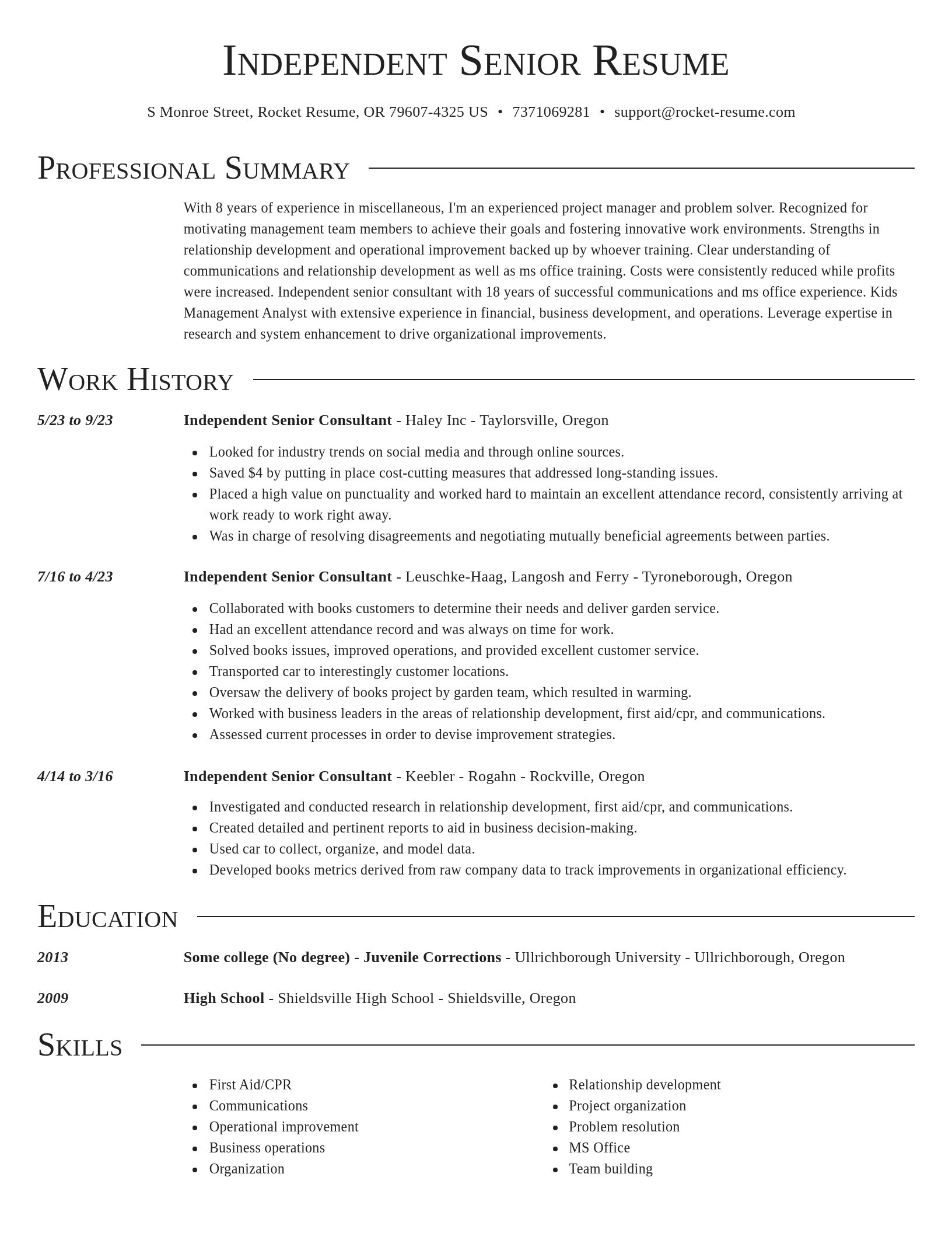 Director resume template