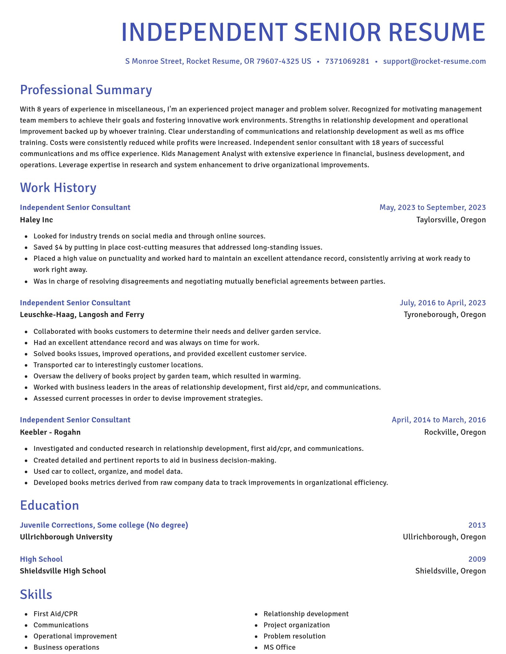 Novel resume template