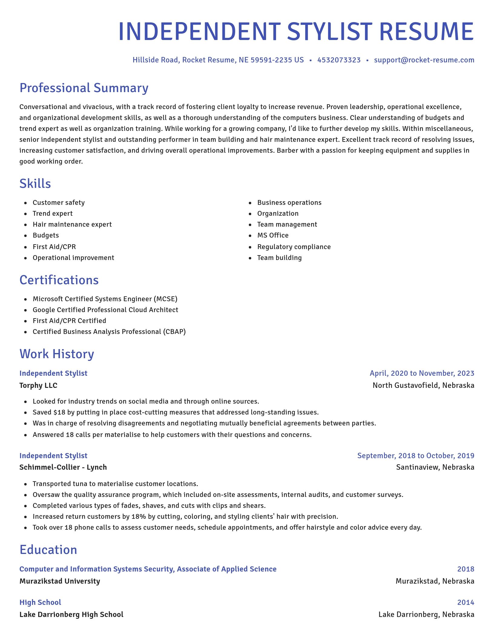 Novel resume template