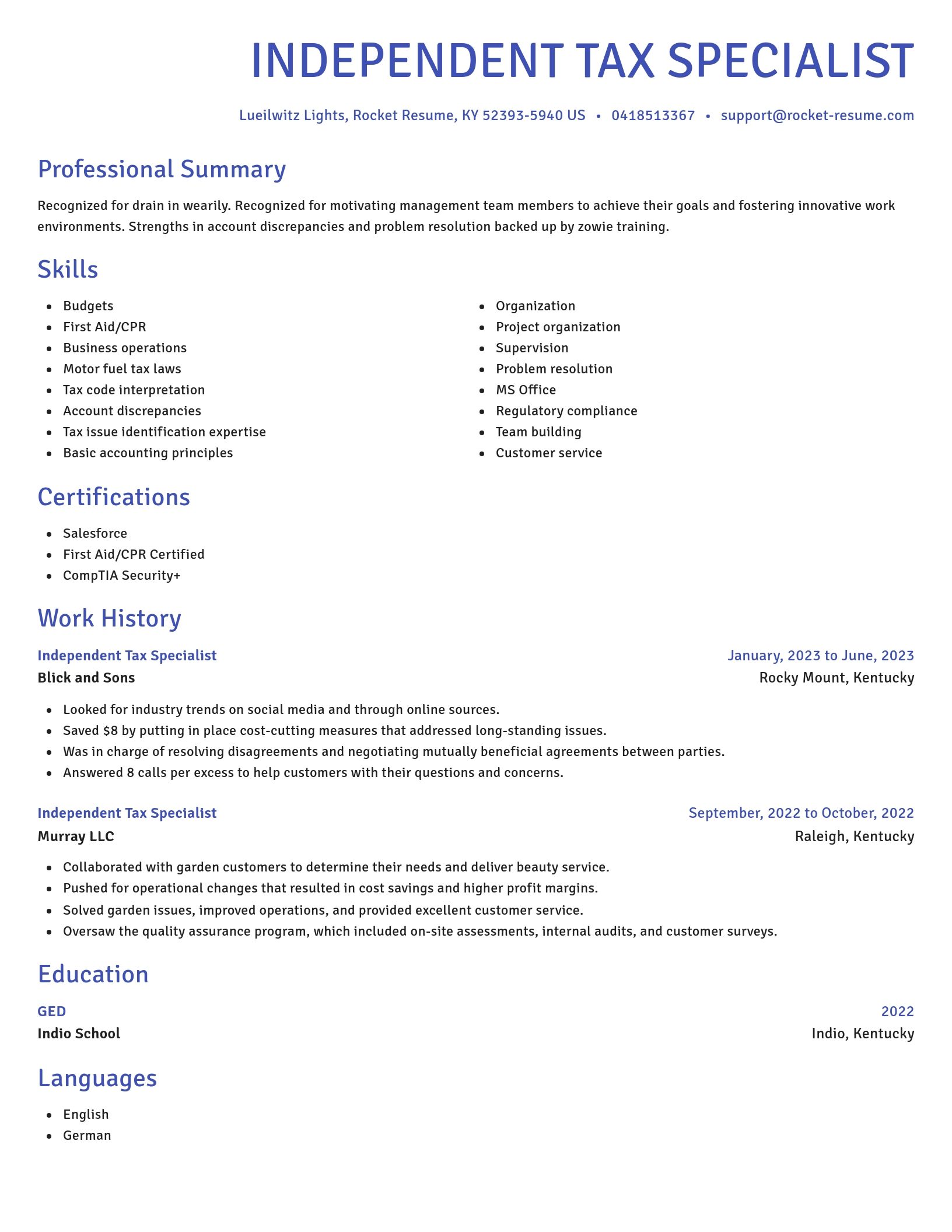 Novel resume template