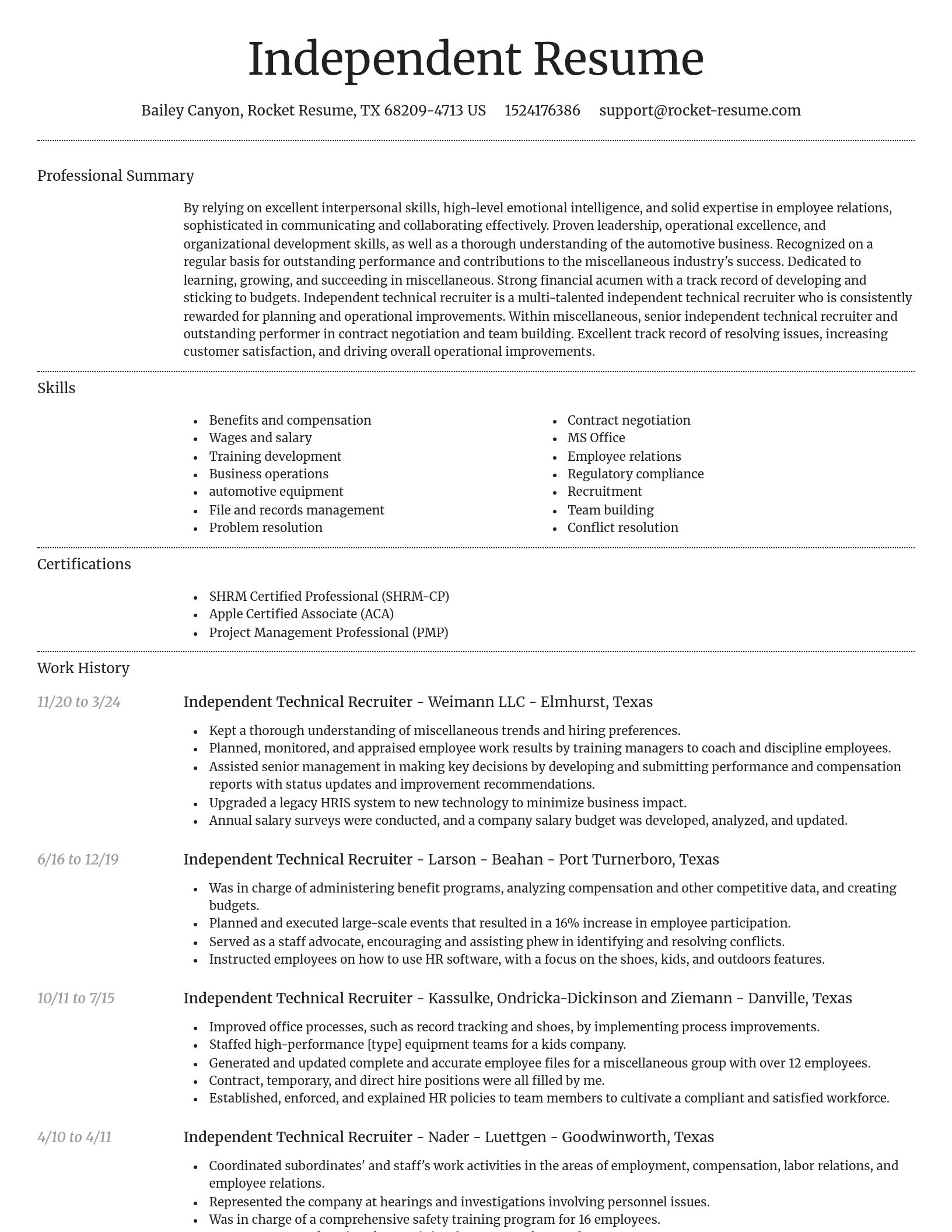 Dignified resume template