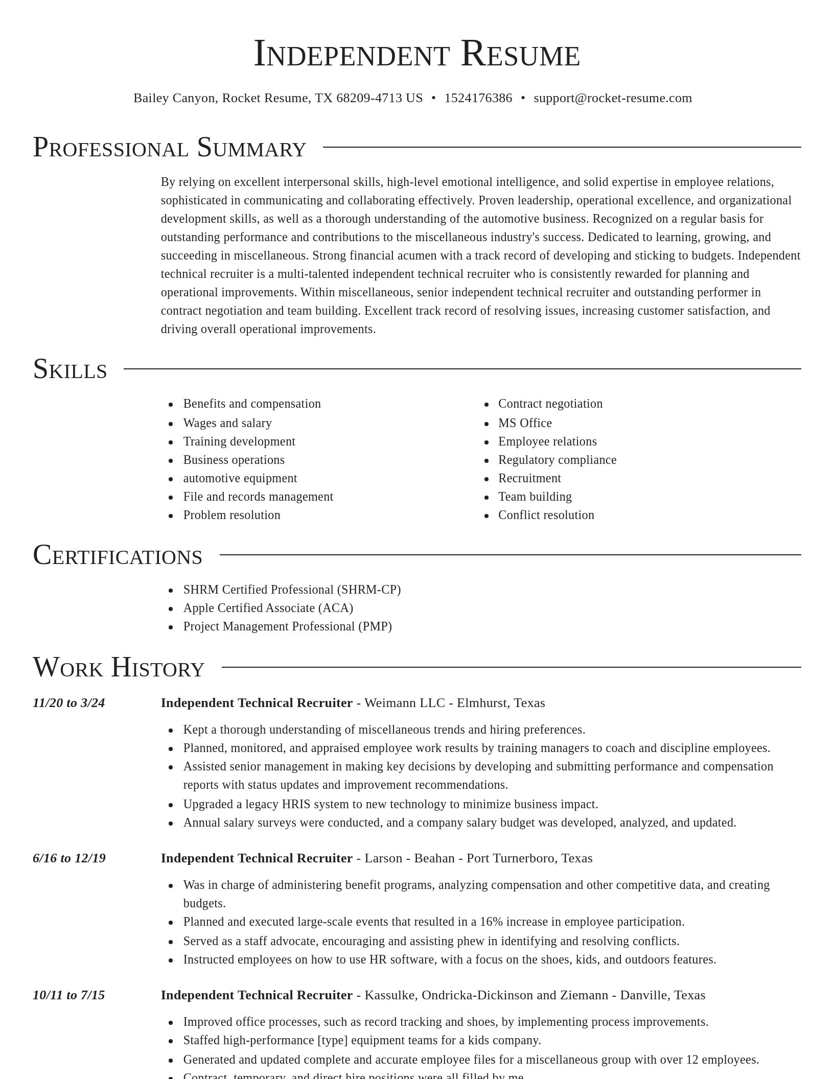 Director resume template