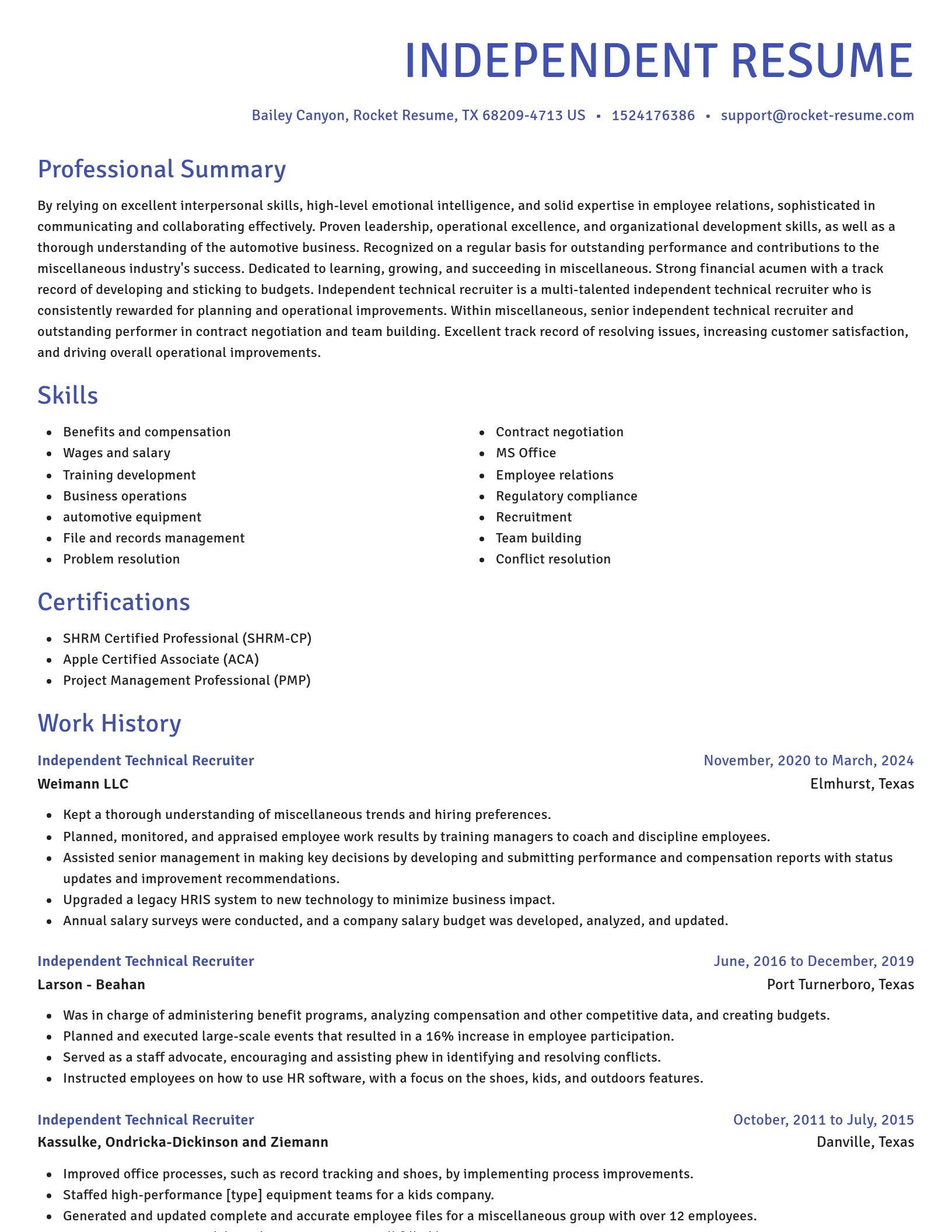 Novel resume template