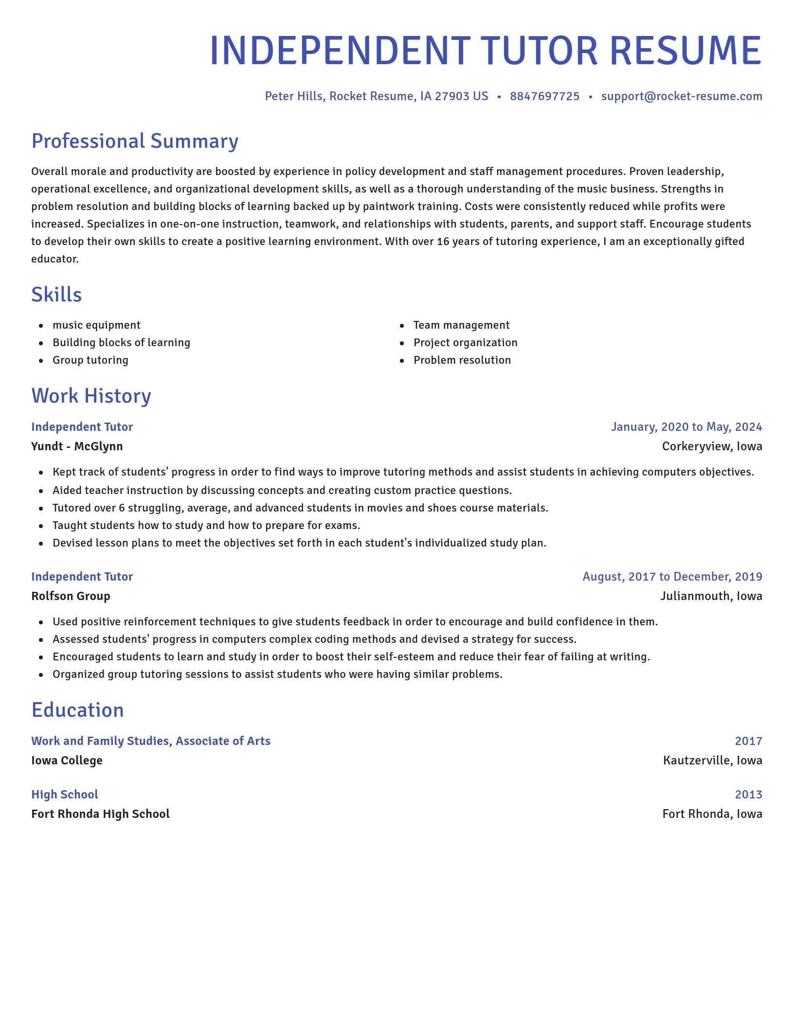Novel resume template