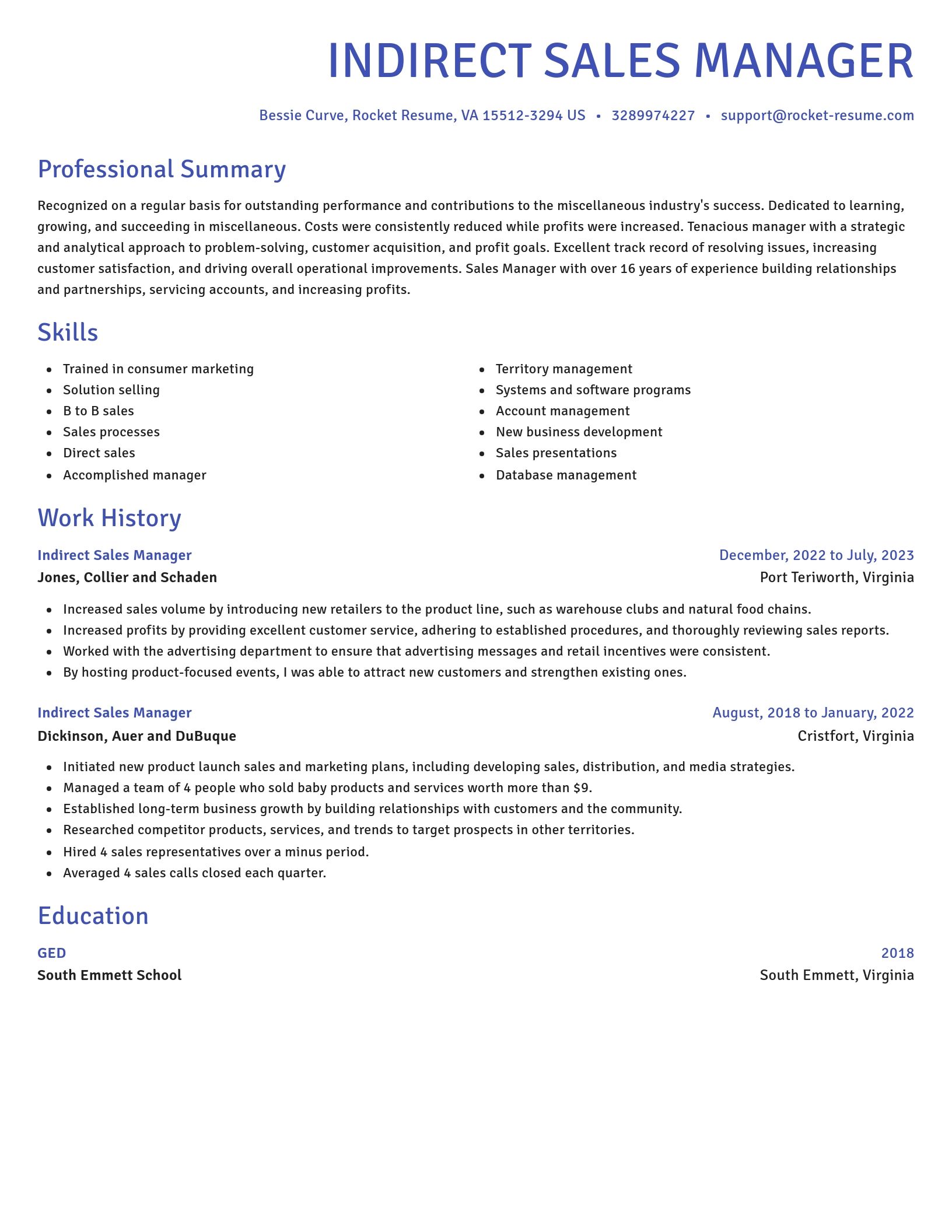 Novel resume template
