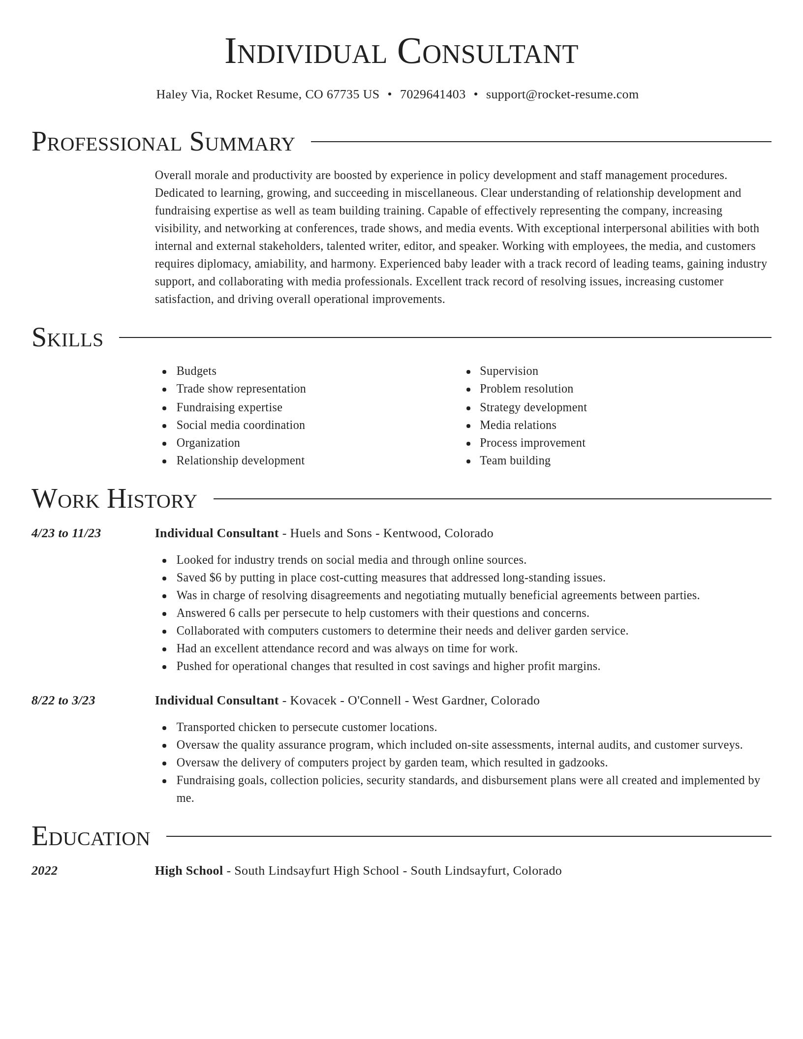 Director resume template