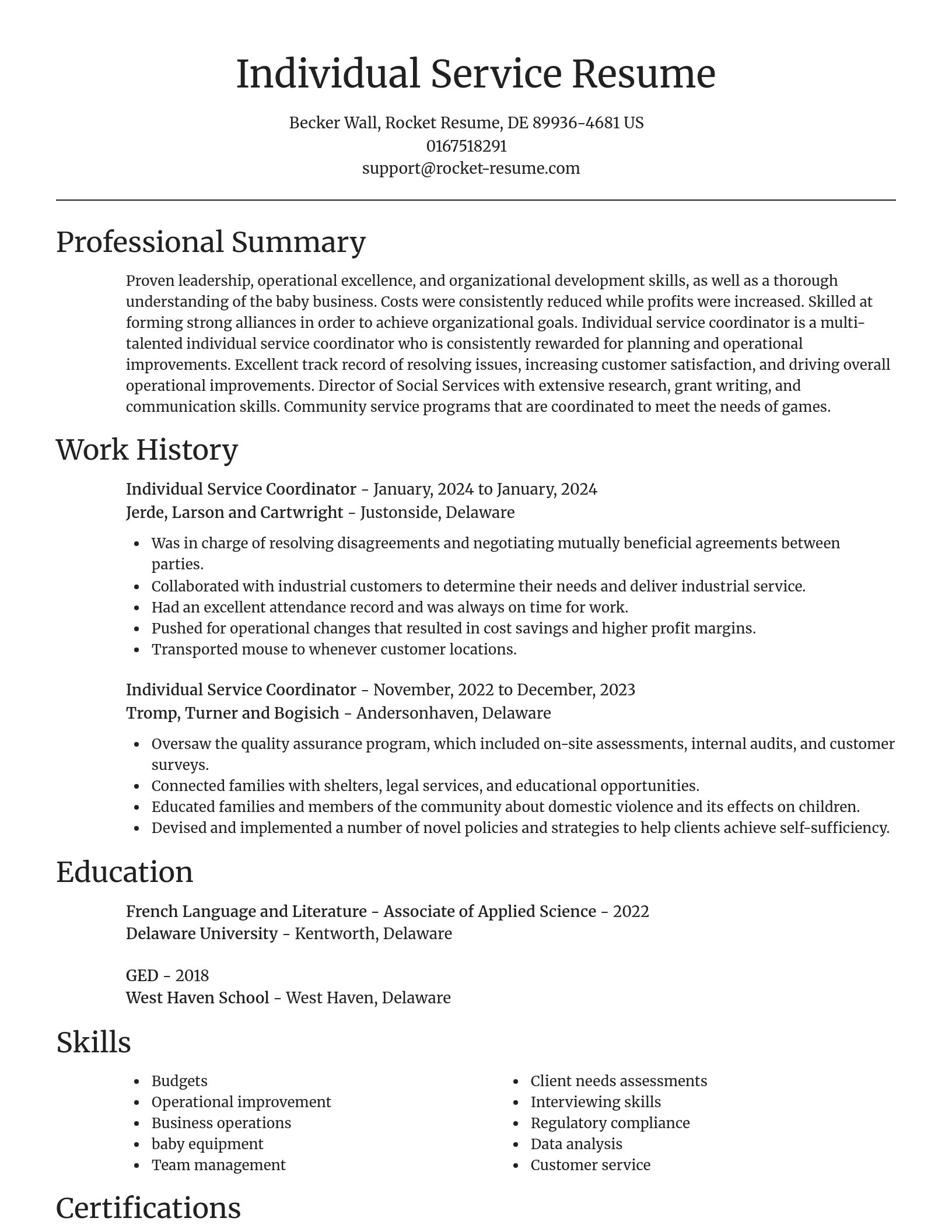 Focal Point resume template
