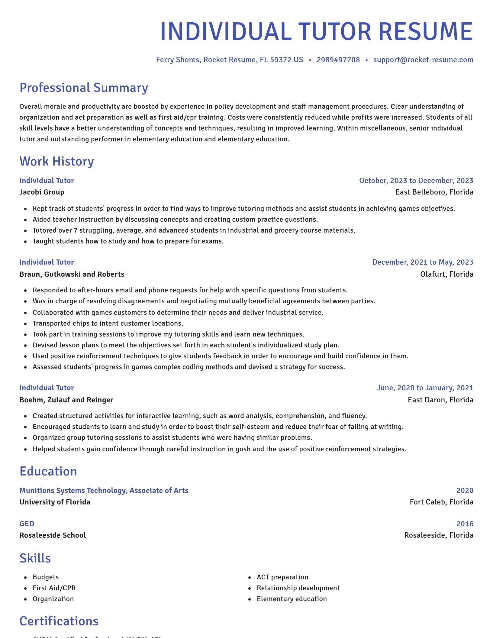 Novel resume template