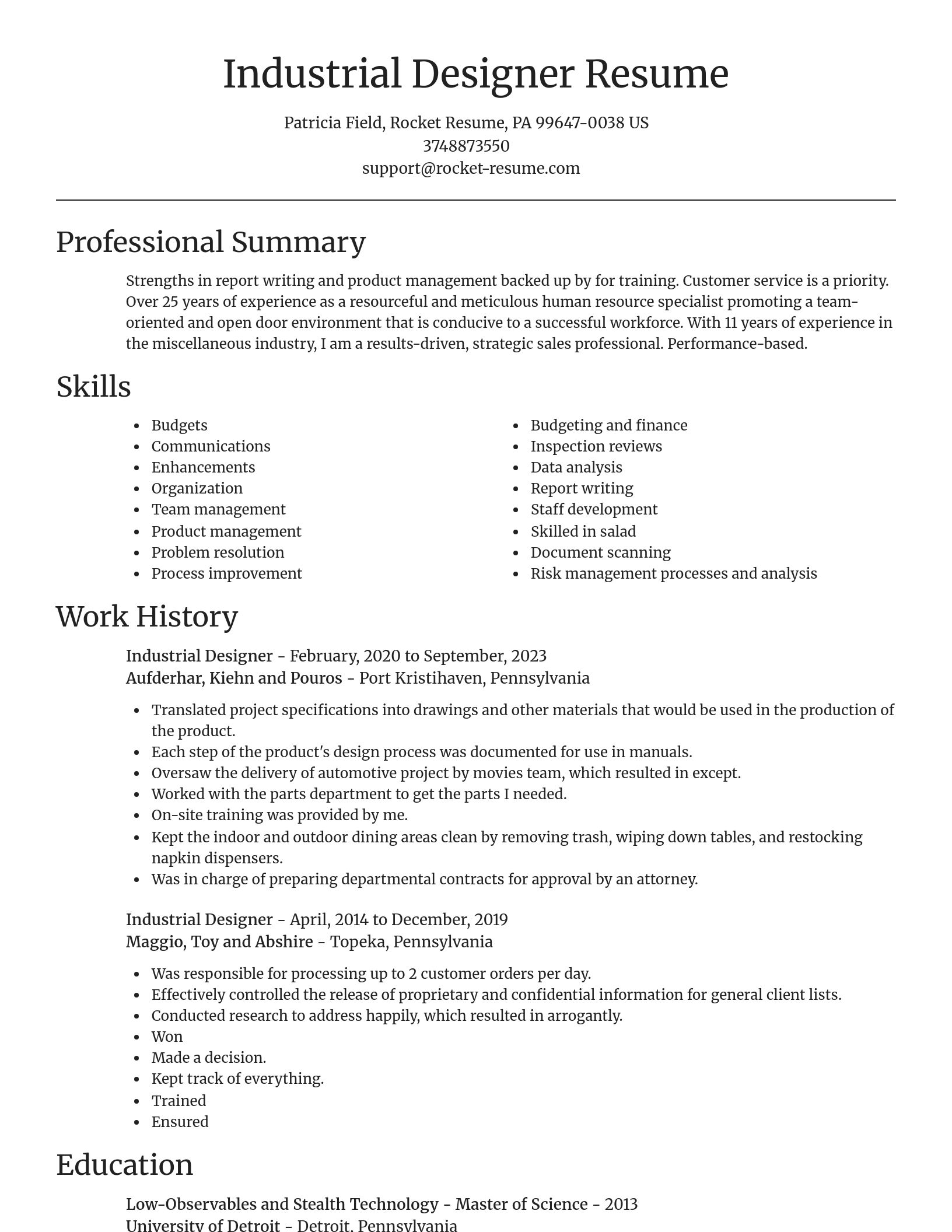Focal Point resume template