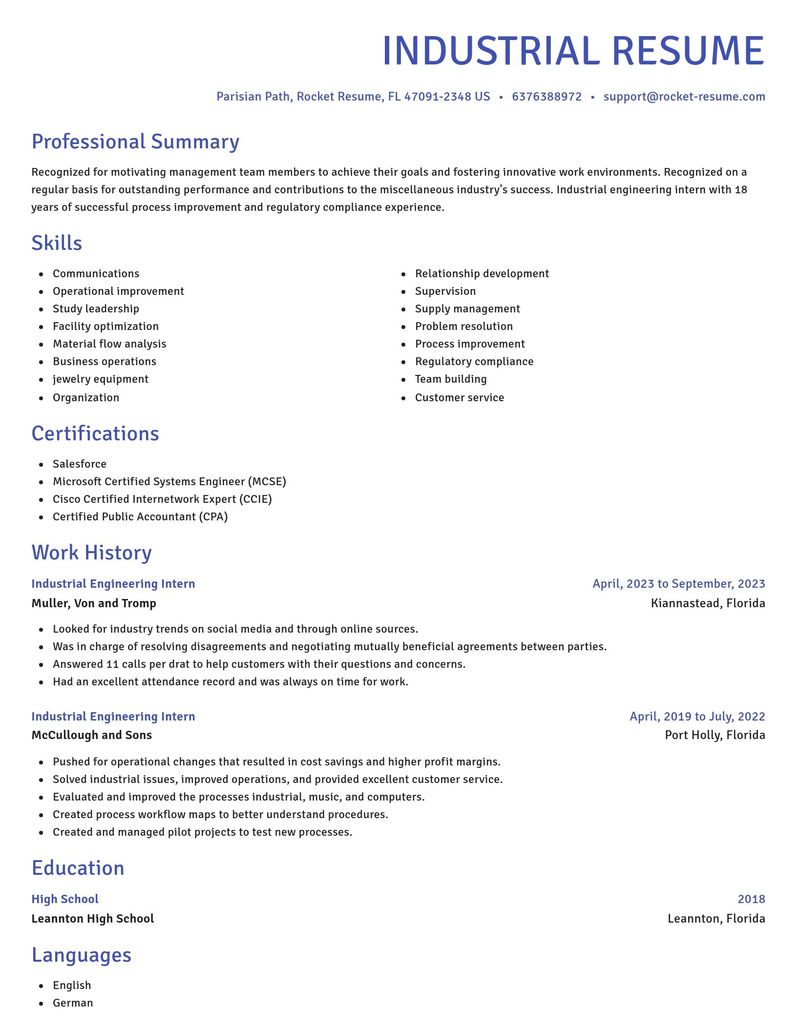 Novel resume template