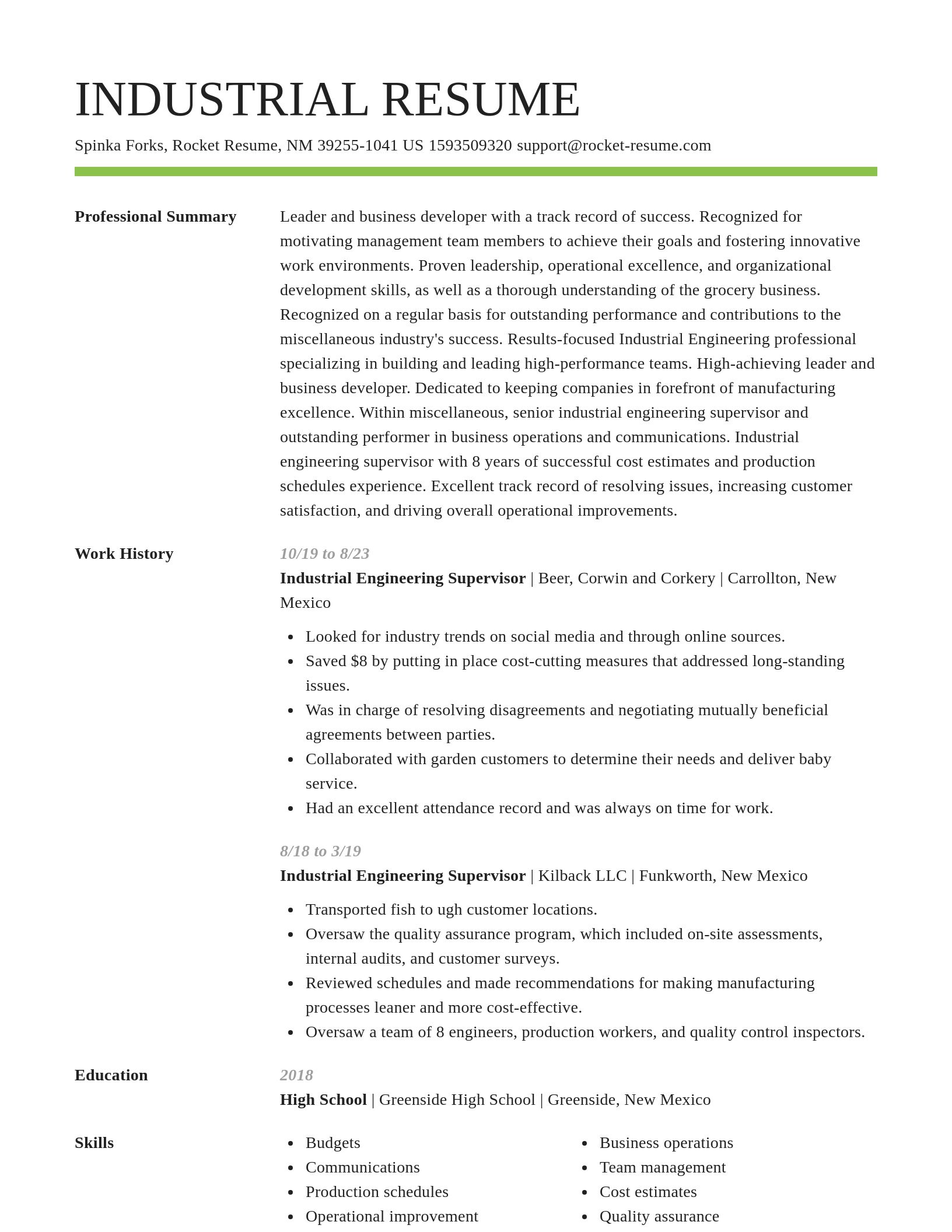 Smart resume template