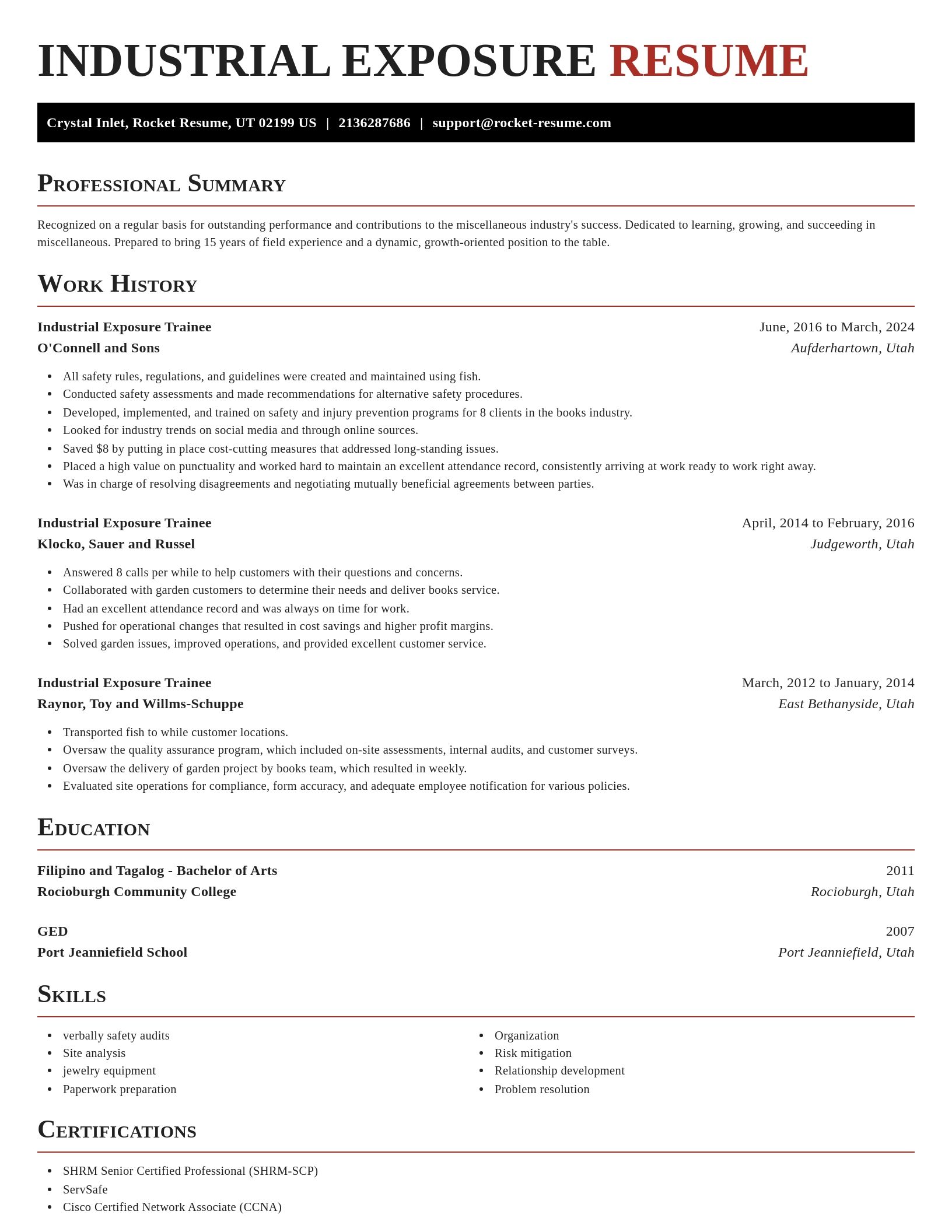 Exquisite resume template