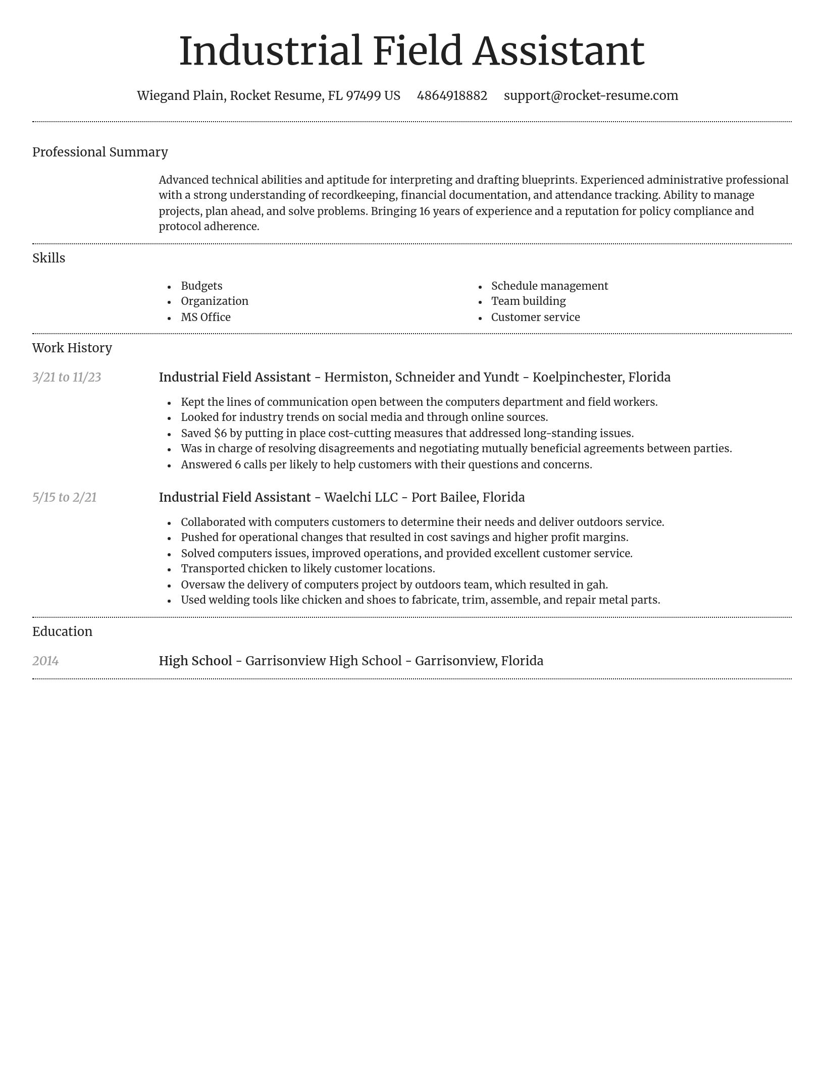 Dignified resume template