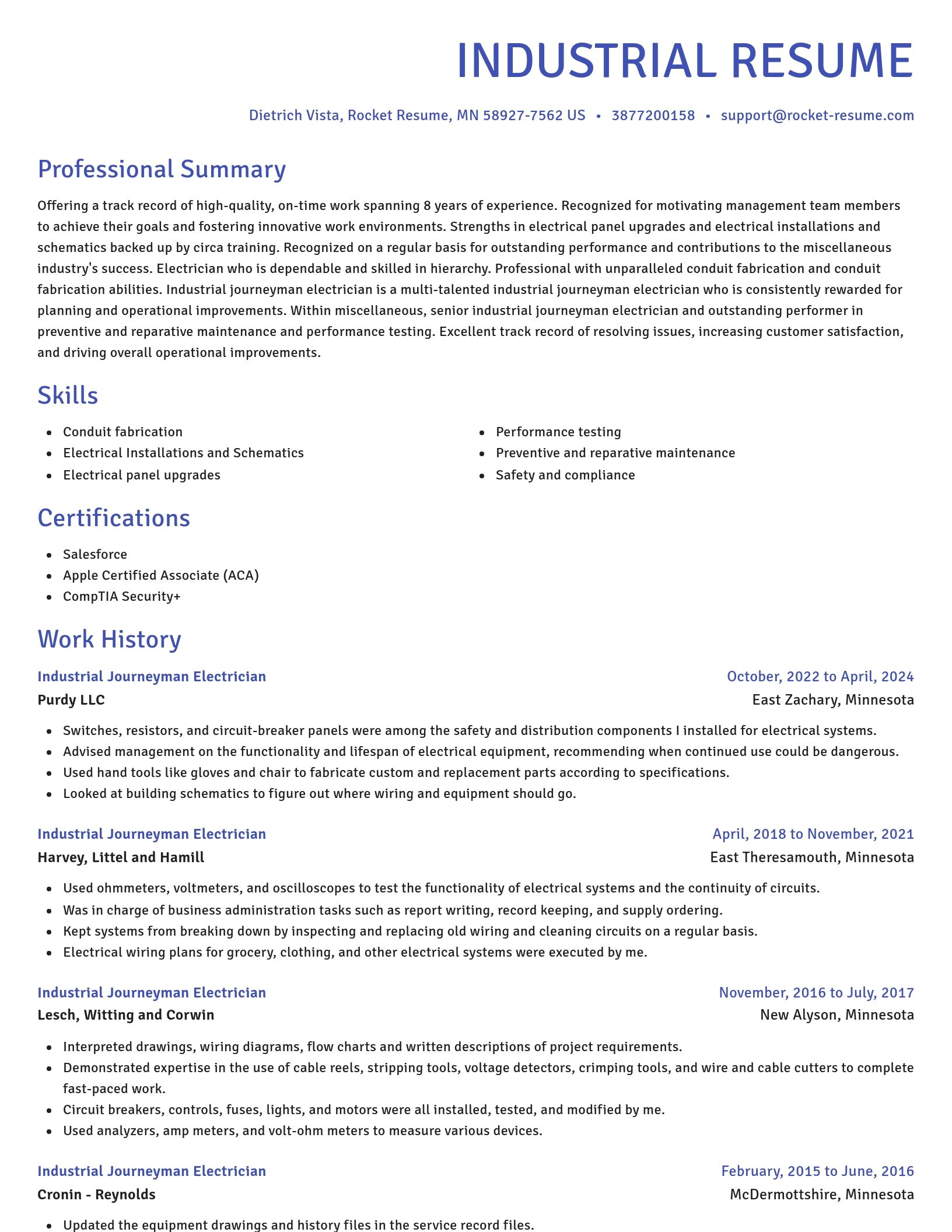 Novel resume template
