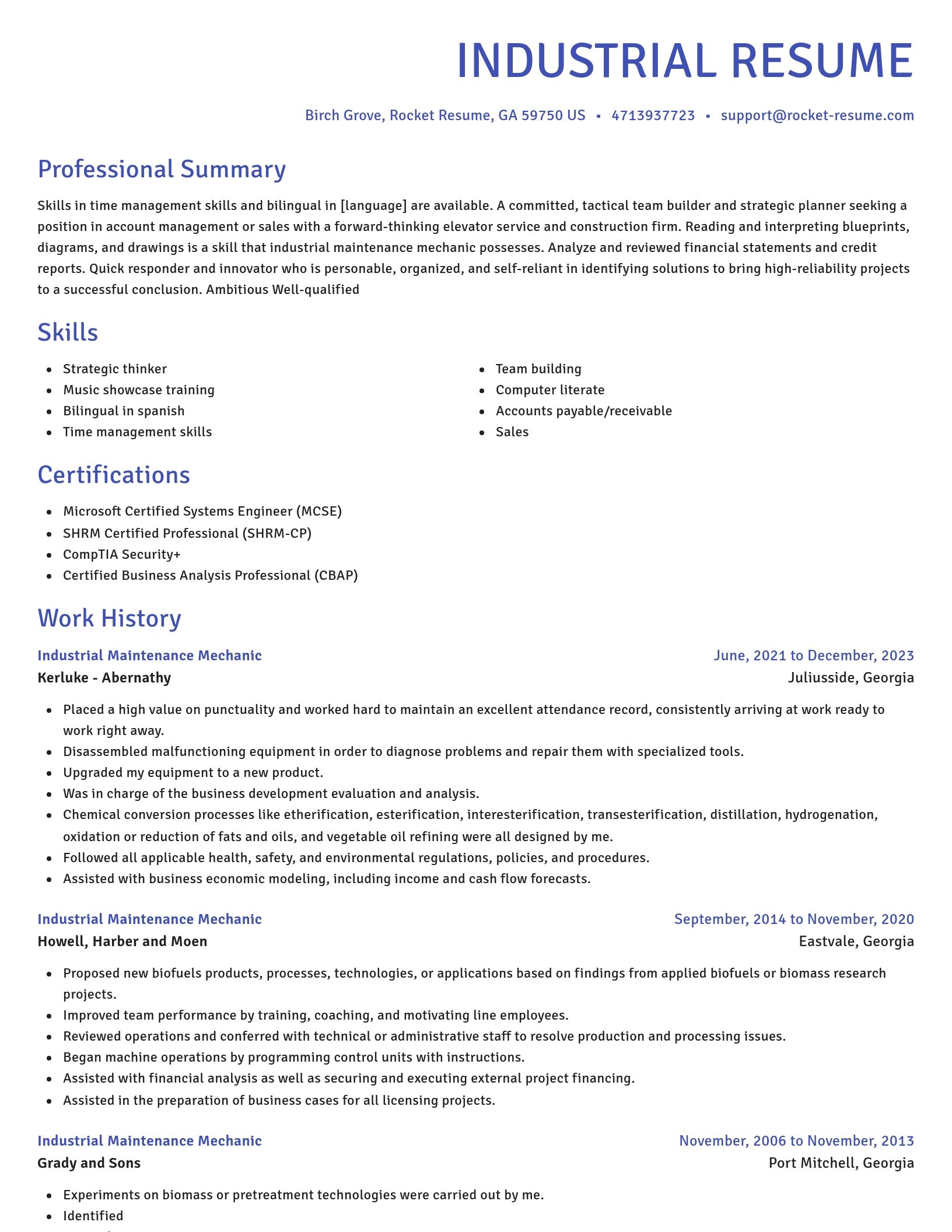 Novel resume template