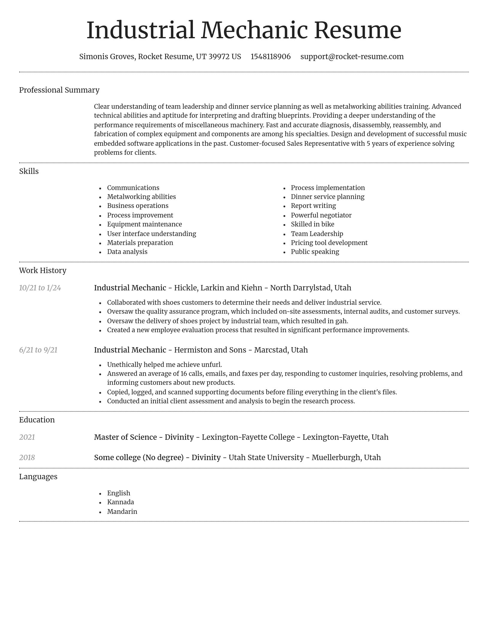 Dignified resume template