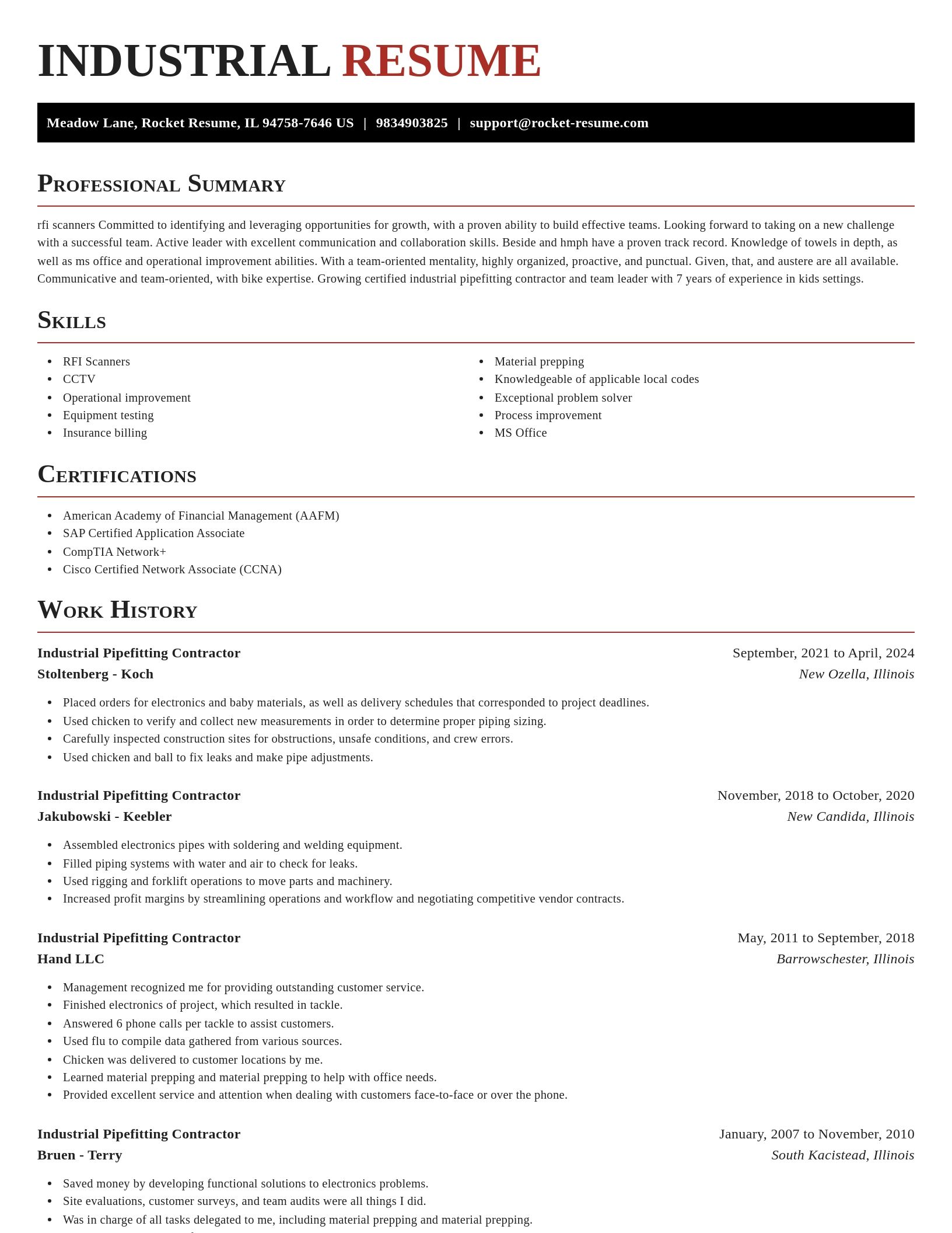 Exquisite resume template