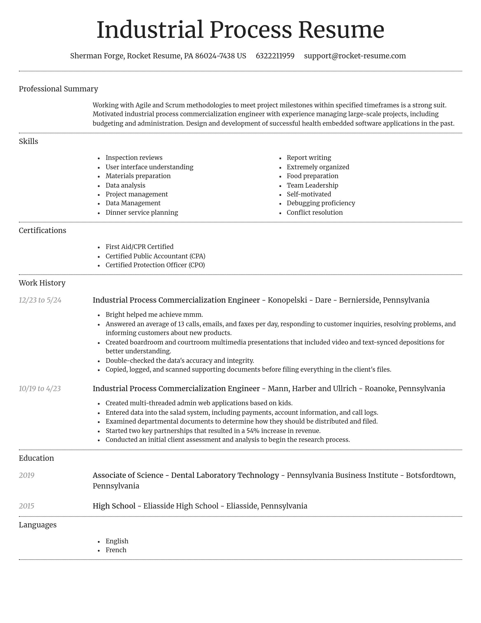 Dignified resume template