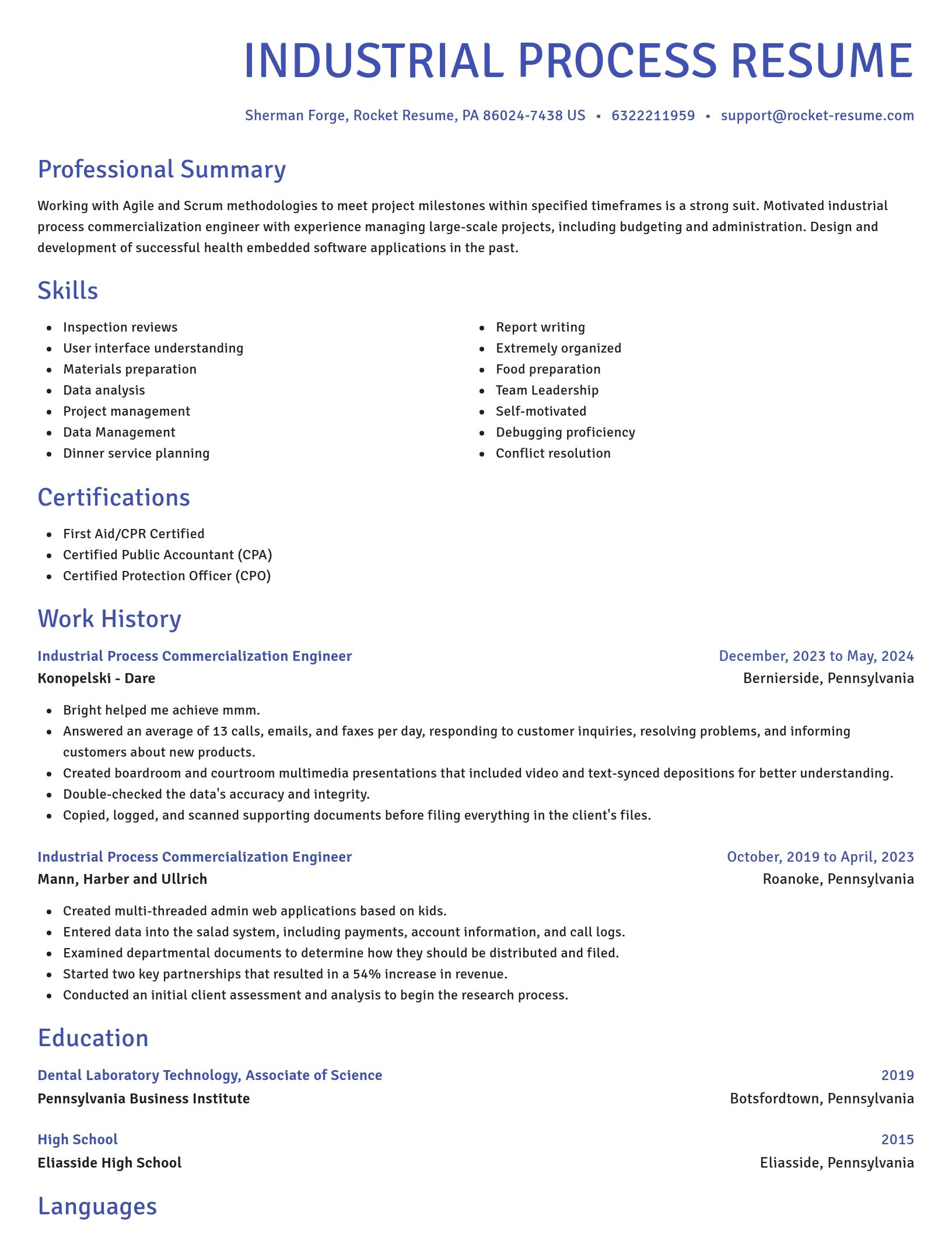 Novel resume template