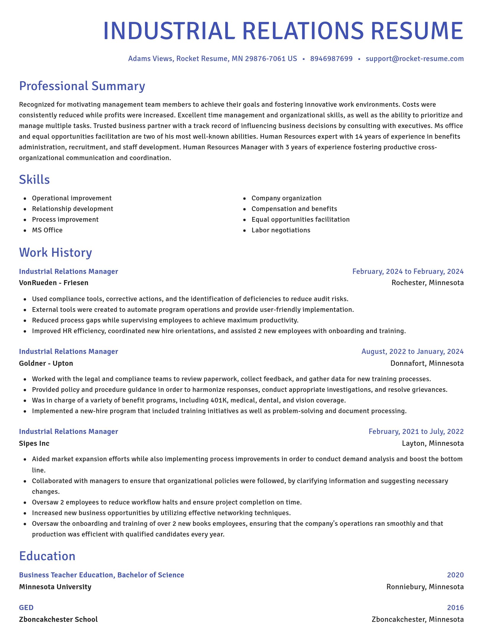 Novel resume template