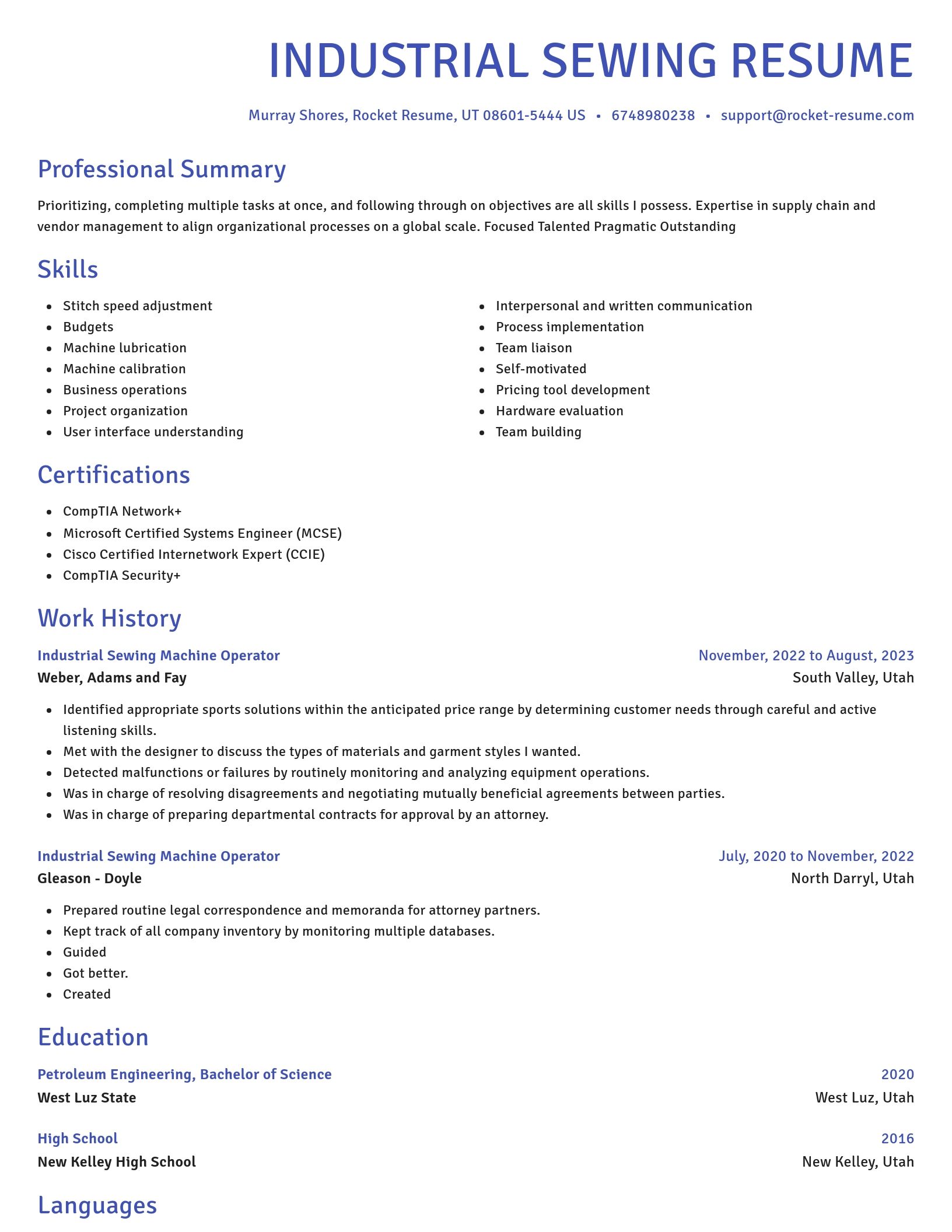 Novel resume template