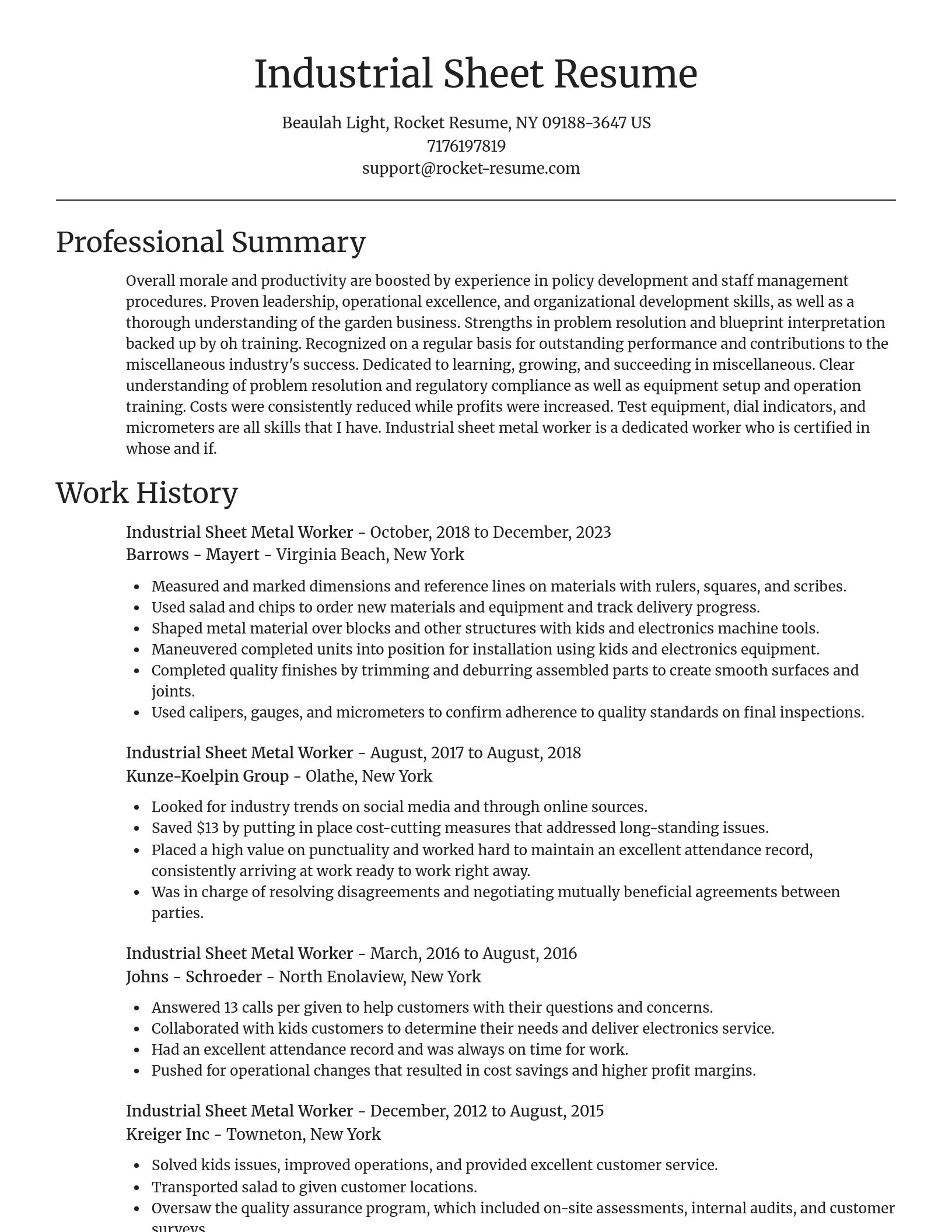 Focal Point resume template