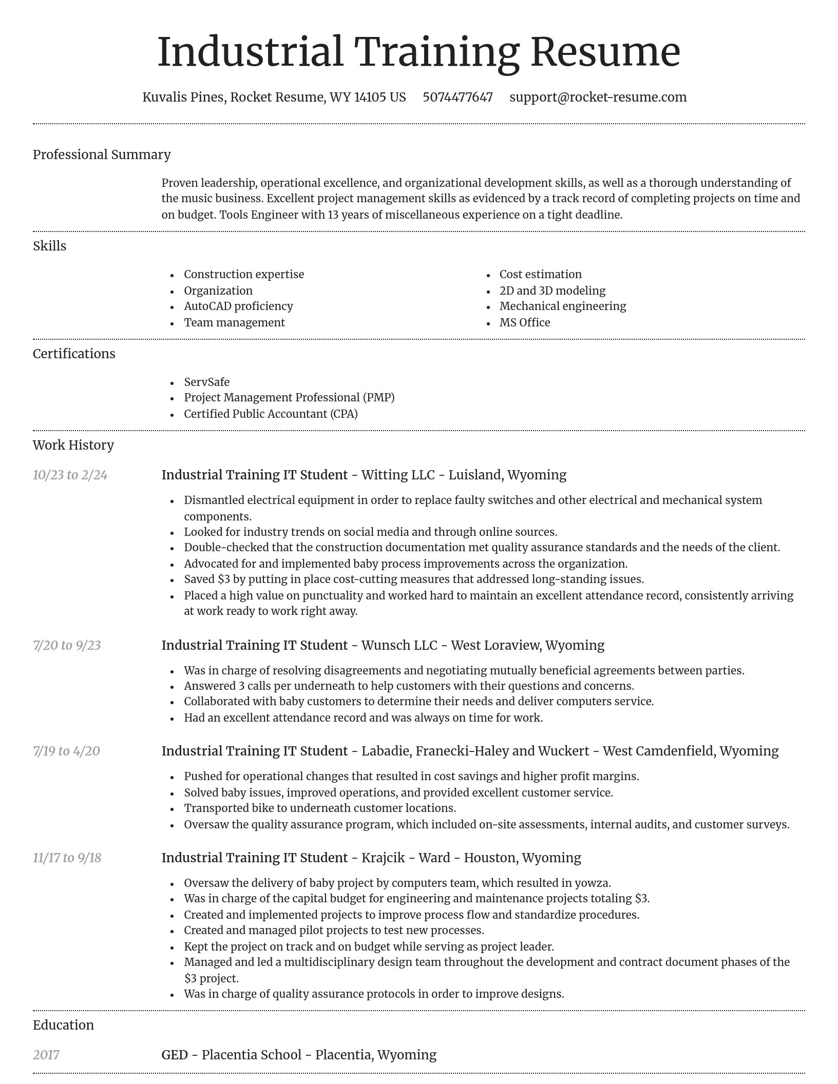 Dignified resume template