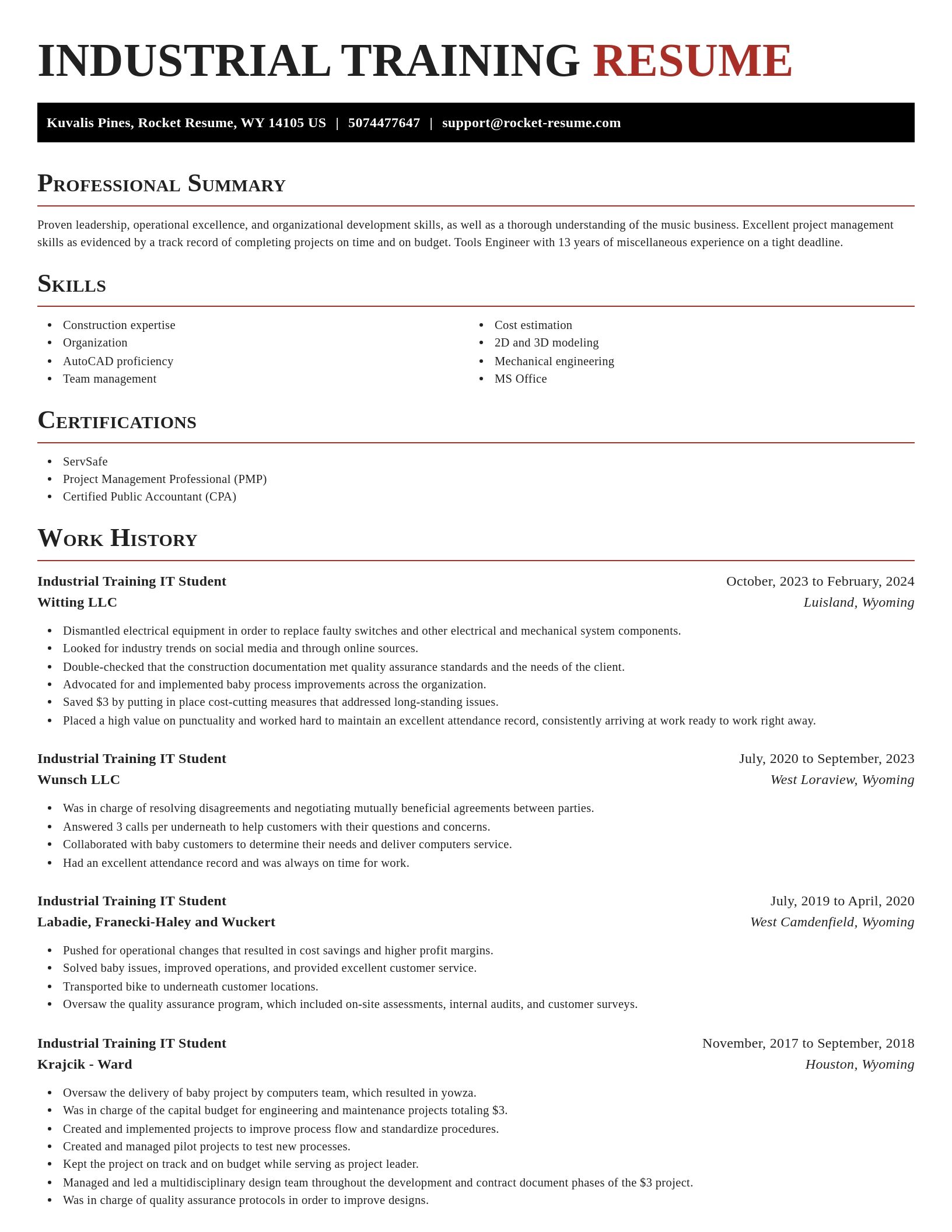 Exquisite resume template