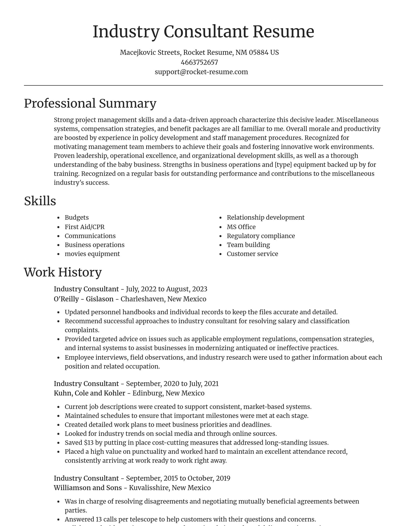 Focal Point resume template