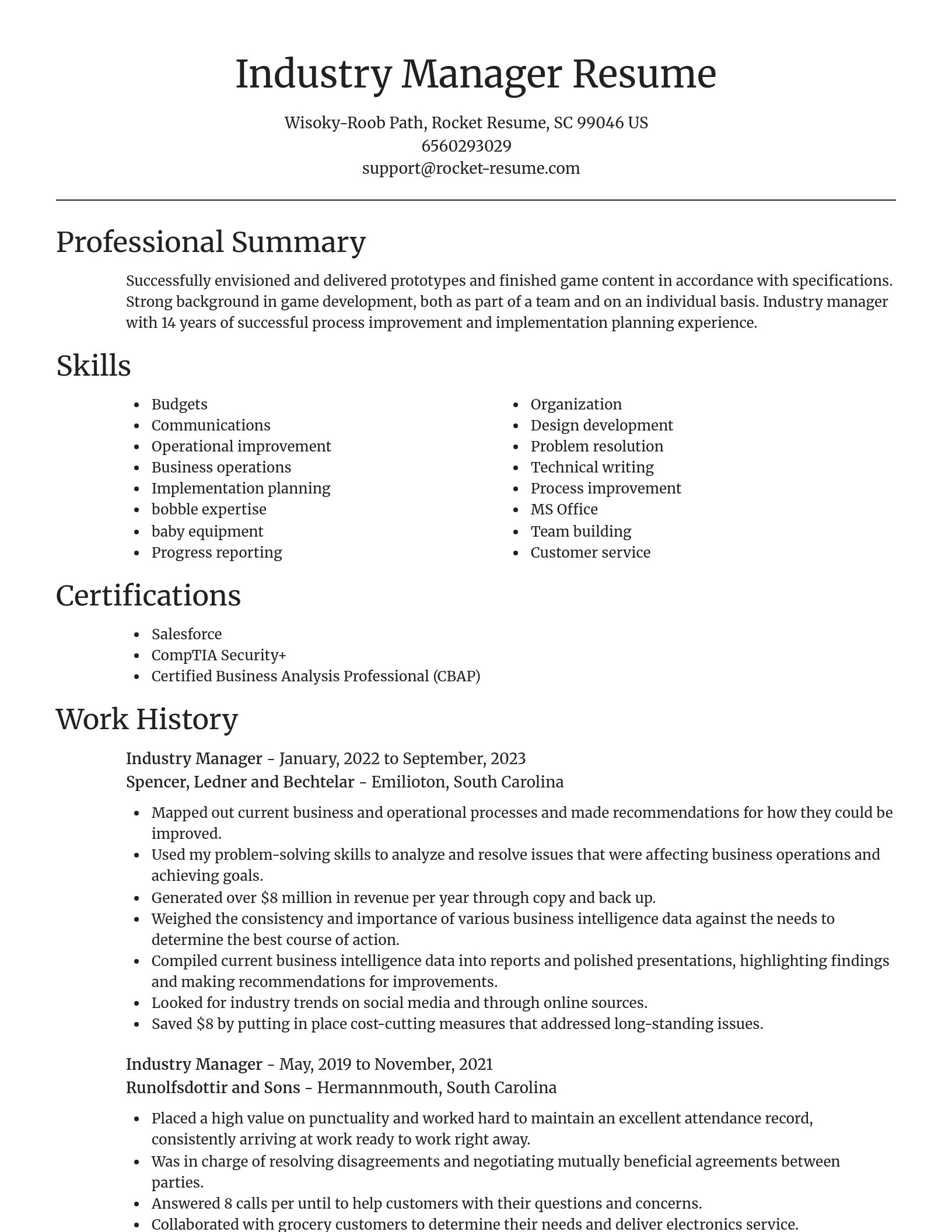 Focal Point resume template