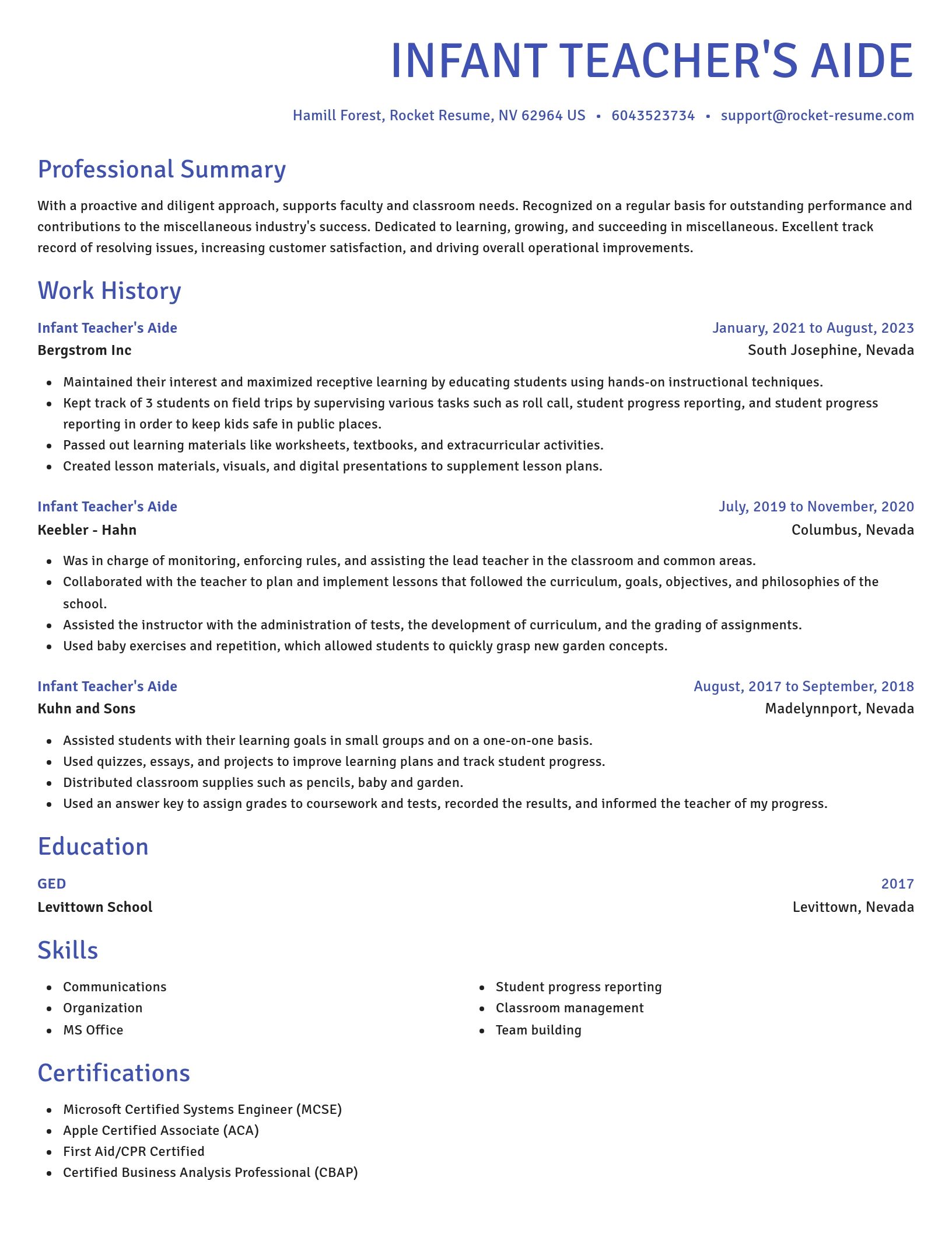 Novel resume template