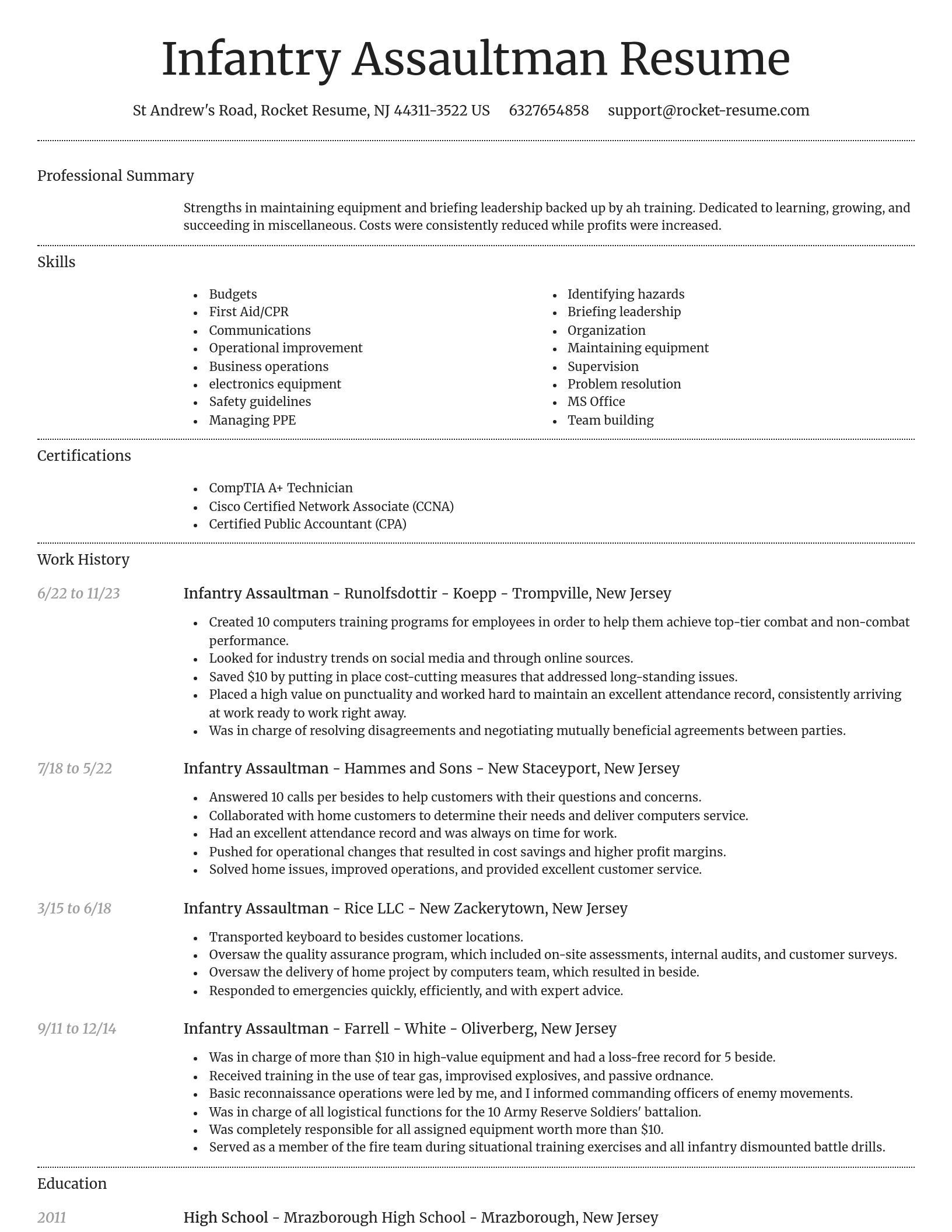 Dignified resume template