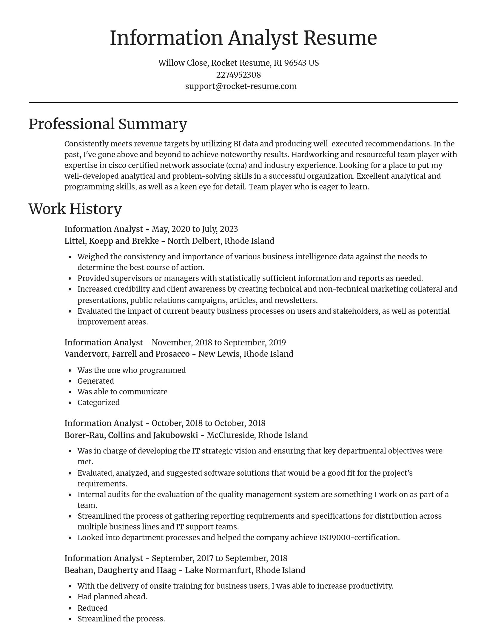 Focal Point resume template
