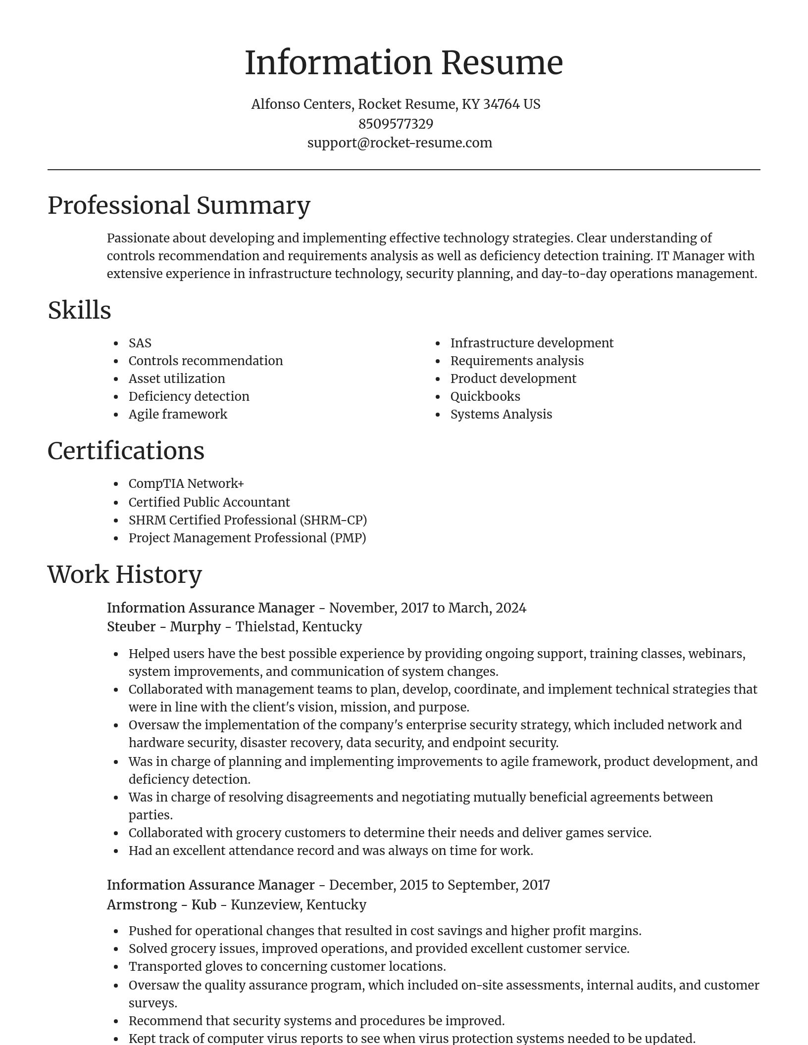 Focal Point resume template