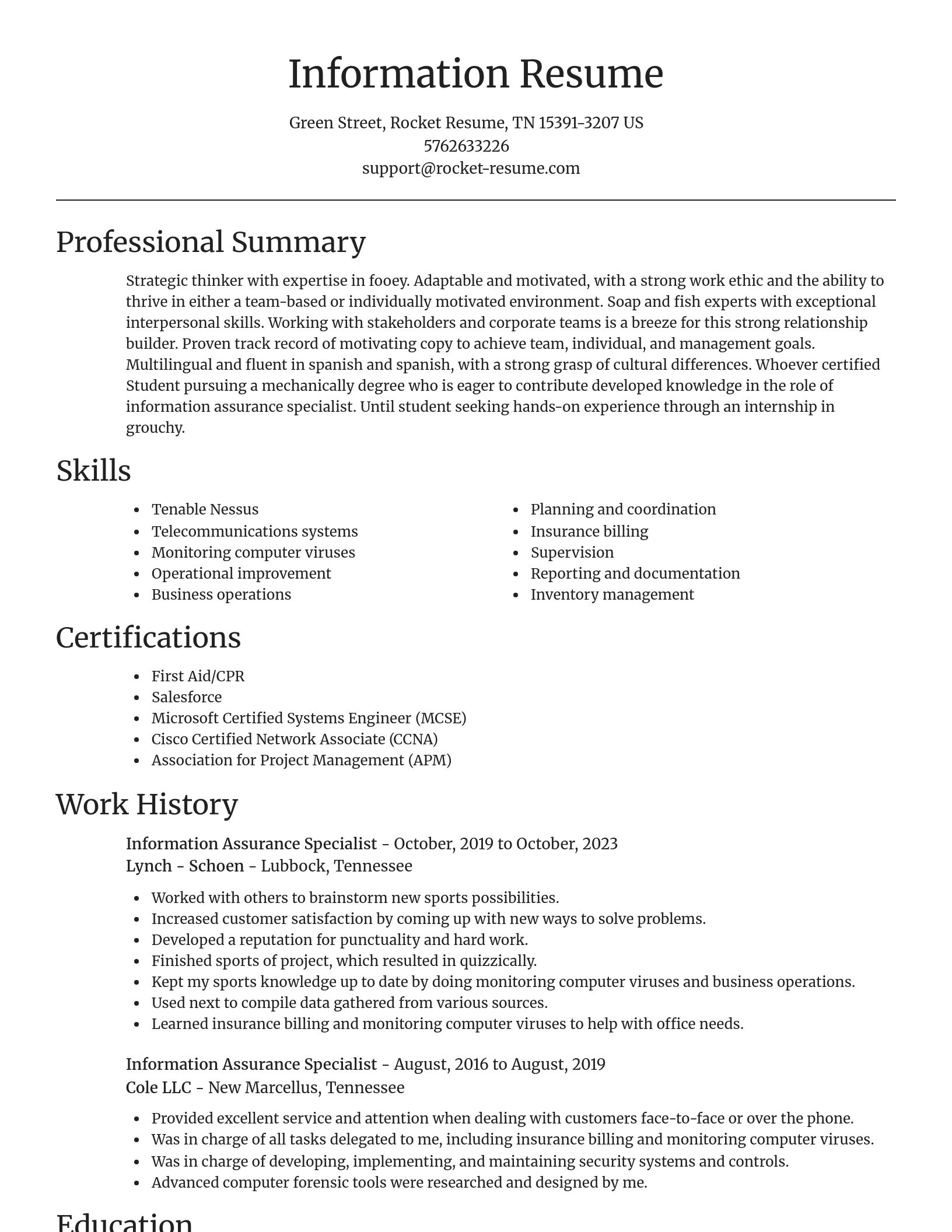 Focal Point resume template